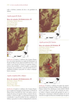 210 | Livro vermelho da flora do Brasil 
sado o declínio contínuo da área e da qualidade do 
hábitat. 
Aspilia jugata H. Rob. 
Risco de extinção: CR B2ab(i,ii,iii,iv) Þ 
Avaliadora: Tainan Messina 
Data: 25-04-2012 
Distribuição: MG 
Bioma: Cerrado 
Justificativa: A espécie é endêmica dos Campos Rupes-tres 
com rochas quartzíticas na região de Diamantina, no 
Estado de Minas Gerais. Apresenta AOO de 8 km² e está 
sujeita a uma situação de ameaça. A expansão urbana, o 
turismo descontrolado, a criação de gado e as queimadas 
frequentes são considerados a causa do declínio da área e 
qualidade de hábitat, o que pode vir a afetar as subpopu-lações 
existentes. 
Aspilia ovatifolia (DC.) Baker 
Risco de extinção: CR B2ab(i,ii,iii,iv) Þ 
Avaliadora: Tainan Messina 
Data: 25-04-2012 
Distribuição: MG 
Bioma: Mata Atlântica 
Justificativa: A espécie é endêmica dos Campos Rupes-tres 
na região do município de Diamantina, no Estado de 
Minas Gerais. Com AOO de 4 km², está sujeita a uma si-tuação 
de ameaça. A expansão urbana, o turismo descon-trolado, 
a criação de gado e as queimadas frequentes são 
considerados a causa do declínio da área e qualidade de 
hábitat, o que pode vir a afetar as subpopulações existentes. 
Aspilia pereirae J.U. Santos 
Risco de extinção: EN B1ab(iii) Þ 
Avaliadora: Tainan Messina 
Data: 25-04-2012 
Distribuição: DF; MG 
Bioma: Cerrado 
Justificativa: A espécie é endêmica da região dos municí-pios 
de Paracatu, no Estado de Minas Gerais e Brasília, no 
Distrito Federal. Tem distribuição restrita (EOO=528,48 
km²) e está sujeita a menos de cinco situações de amea-ça. 
Sofreu o impacto causado pelo garimpo de ouro e a 
subsequente contaminação ambiental resultante do uso de 
mercúrio na região de Paracatu, localidade-tipo da espécie. 
 