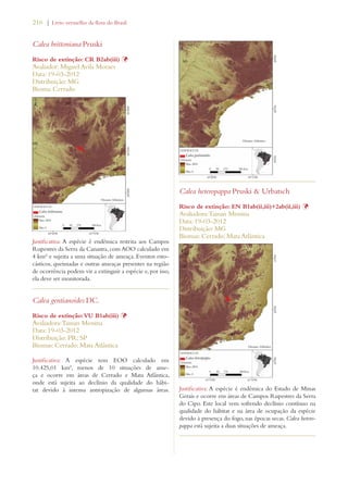216 | Livro vermelho da flora do Brasil 
Calea brittoniana Pruski 
Risco de extinção: CR B2ab(iii) Þ 
Avaliador: Miguel Avila Moraes 
Data: 19-03-2012 
Distribuição: MG 
Bioma: Cerrado 
Justificativa: A espécie é endêmica restrita aos Campos 
Rupestres da Serra da Canastra, com AOO calculado em 
4 km² e sujeita a uma situação de ameaça. Eventos esto-cásticos, 
queimadas e outras ameaças presentes na região 
de ocorrência podem vir a extinguir a espécie e, por isso, 
ela deve ser monitorada. 
Calea gentianoides DC. 
Risco de extinção: VU B1ab(iii) Þ 
Avaliadora: Tainan Messina 
Data: 19-03-2012 
Distribuição: PR; SP 
Biomas: Cerrado; Mata Atlântica 
Justificativa: A espécie tem EOO calculado em 
10.425,01 km², menos de 10 situações de ame-ça 
e ocorre em áreas de Cerrado e Mata Atlântica, 
onde está sujeita ao declínio da qualidade do hábi-tat 
devido à intensa antropização de algumas áreas. 
Calea heteropappa Pruski  Urbatsch 
Risco de extinção: EN B1ab(ii,iii)+2ab(ii,iii) Þ 
Avaliadora: Tainan Messina 
Data: 19-03-2012 
Distribuição: MG 
Biomas: Cerrado; Mata Atlântica 
Justificativa: A espécie é endêmica do Estado de Minas 
Gerais e ocorre em áreas de Campos Rupestres da Serra 
do Cipo. Este local vem sofrendo declínio contínuo na 
qualidade do hábitat e na área de ocupação da espécie 
devido à presença do fogo, nas épocas secas. Calea hetero-pappa 
está sujeita a duas situações de ameaça. 
 