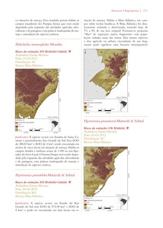 | 231 
co situações de ameaça. Erva rosulada, perene, habita os 
campos inundáveis dos Pampas, bioma que vem sendo 
degradado pela expansão das atividades agrícolas, silvi-culturais 
e de pastagens, com práticas inadequadas de ma-nejo 
e introdução de espécies exóticas. 
Holocheilus monocephalus Mondin 
Risco de extinção: EN B1ab(iii)+2ab(iii) Þ 
Avaliadora: Tainan Messina 
Data: 19-03-2012 
Distribuição: SC 
Bioma: Mata Atlântica 
Justificativa: A espécie ocorre nos Estados de Santa Ca-tarina 
e, possivelmente, Rio Grande do Sul. Tem EOO 
de 288,65 km² e AOO de 4 km², sendo encontrada em 
menos de cinco locais em situação de ameaça. Habita os 
campos úmidos e turfosos, acima de 1.000 m, nos Apa-rados 
da Serra Geral. O bioma Pampa vem sendo degra-dado 
pela expansão das atividades agrícolas, silviculturais 
e de pastagens, com práticas inadequadas de manejo e 
introdução de espécies exóticas. 
Hysterionica pinnatiloba Matzenb.  Sobral 
Risco de extinção: EN B1ab(iii)+2ab(iii) Þ 
Avaliadora: Tainan Messina 
Data: 20-03-2012 
Distribuição: RS 
Bioma: Mata Atlântica 
Justificativa: A espécie ocorre no Estado do Rio 
Grande do Sul, tem EOO de 575,98 km² e AOO de 
8 km², e pode ser encontrada em dois locais em si-tuação 
!STERACEAEs!NGIOSPERMA 
de ameaça. Habita a Mata Atlântica, em cam-pos 
sobre rochas basálticas. A Mata Atlântica foi dras-ticamente 
reduzida e deteriorada, restando hoje de 
7% a 8% de sua área original. Formam-se pequenas 
“ilhas” de vegetação nativa, fragmentos com popu-lações 
isoladas umas das outras. Para muitas espécies, 
a área agrícola ou urbana circundante de um frag-mento 
pode significar uma barreira intransponível. 
Hysterionica pinnatisecta Matzenb.  Sobral 
Risco de extinção: CR B2ab(iii) Þ 
Avaliadora: Tainan Messina 
Data: 20-03-2012 
Distribuição: SC 
Bioma: Mata Atlântica 
 