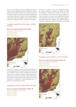 | 233 
Justificativa: A espécie ocorre no município de Rio de 
Contas, no Pico das Almas, Estado da Bahia. Tem distri-buição 
restrita (AOO=8 km²), em um local em situação 
de ameaça. A área de ocorrência vem sofrendo deteriora-ção 
pela agricultura, pelo cultivo de frutas, pela pastagem 
e pelo fogo usado para implantar essas culturas, além da 
retirada de madeira para lenha e de plantas ornamentais. 
Lepidaploa gnaphalioides (Sch. Bip. ex Baker) 
H. Rob. 
Risco de extinção: EN B1ab(iii)+2ab(iii) 
Avaliadora: Tainan Messina 
Data: 18-04-2012 
Distribuição: MG 
Bioma: Mata Atlântica 
Justificativa: A espécie ocorre nos Estados de Minas Ge-rais 
e, possivelmente, Rio de Janeiro. Tem EOO de 502,60 
km² e AOO de 8 km², sendo encontrada em menos de 
cinco locais em situação de ameaça. Embora presente em 
unidade de conservação, a redução e deterioração do há-bitat, 
primeiro pela mineração, hoje pelo turismo, pela 
agricultura de subsistência e pelas queimadas que a se-guem, 
são suas principais ameaças. 
Lepidaploa pseudaurea (D.J.N. Hind) H. Rob. 
Risco de extinção: EN B1ab(iii)+2ab(iii) Þ 
Avaliador: Miguel Avila Moraes 
Data: 18-04-2012 
Distribuição: BA 
Bioma: Caatinga 
!STERACEAEs!NGIOSPERMA 
Justificativa: A espécie ocorre nos municípios de Rio 
de Contas e Morro do Chapéu, no Estado da Bahia. 
Tem EOO de 3.966,82 km² e AOO de 20 km², sen-do 
encontrada em menos de cinco locais em situação de 
ameaça. A área de ocorrência vem sofrendo deterioração 
pela agricultura, pelo cultivo de frutas, pela pastagem e 
pelo fogo usado para implantar essas culturas, além da 
retirada de madeira para lenha e de plantas ornamentais. 
Lepidaploa spixiana (Mart. ex DC.) H. Rob. 
Risco de extinção: EN B1ab(iii)+2ab(iii) Þ 
Avaliador: Miguel Avila Moraes 
Data: 18-04-2012 
Distribuição: MG 
Biomas: Cerrado; Mata Atlântica 
 