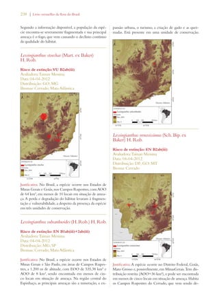 238 | Livro vermelho da flora do Brasil 
Segundo a informação disponível, a população da espé-cie 
encontra-se severamente fragmentada e sua principal 
ameaça é o fogo, que vem causando o declínio contínuo 
da qualidade do hábitat. 
Lessingianthus stoechas (Mart. ex Baker) 
H. Rob. 
Risco de extinção: VU B2ab(iii) 
Avaliadora: Tainan Messina 
Data: 04-04-2012 
Distribuição: GO; MG 
Biomas: Cerrado; Mata Atlântica 
Justificativa: No Brasil, a espécie ocorre nos Estados de 
Minas Gerais e Goiás, nos Campos Rupestres, com AOO 
de 64 km², em menos de 10 locais em situação de amea-ça. 
A perda e degradação do hábitat levaram à fragmen-tação 
e vulnerabilidade, a despeito da presença da espécie 
em três unidades de conservação. 
Lessingianthus subcarduoides (H. Rob.) H. Rob. 
Risco de extinção: EN B1ab(iii)+2ab(iii) 
Avaliadora: Tainan Messina 
Data: 04-04-2012 
Distribuição: MG; SP 
Biomas: Cerrado; Mata Atlântica 
Justificativa: No Brasil, a espécie ocorre nos Estados de 
Minas Gerais e São Paulo, em áreas de Campos Rupes-tres, 
a 1.200 m de altitude, com EOO de 535,38 km² e 
AOO de 8 km², sendo encontrada em menos de cin-co 
locais em situação de ameaça. Na região central do 
Espinhaço, as principais ameaças são a mineração, a ex-pansão 
urbana, o turismo, a criação de gado e as quei-madas. 
Está presente em uma unidade de conservação. 
Lessingianthus venosissimus (Sch. Bip. ex 
Baker) H. Rob. 
Risco de extinção: EN B2ab(iii) 
Avaliadora: Tainan Messina 
Data: 04-04-2012 
Distribuição: DF; GO; MT 
Bioma: Cerrado 
Justificativa: A espécie ocorre no Distrito Federal, Goiás, 
Mato Grosso e, possivelmente, em MinasGerais. Tem dis-tribuição 
restrita (AOO=36 km²), e pode ser encontrada 
em menos de cinco locais em situação de ameaça. Habita 
os Campos Rupestres do Cerrado, que vem sendo de- 
 