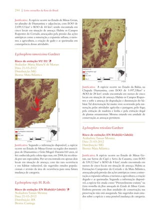 244 | Livro vermelho da flora do Brasil 
Justificativa: A espécie ocorre no Estado de Minas Gerais, 
no planalto de Diamantina e adjacências, com EOO de 
2.699,12 km² e AOO de 44 km², sendo encontrada em 
cinco locais em situação de ameaça. Habita os Campos 
Rupestres do Cerrado, ameaçados pela pressão das ações 
antrópicas como a mineração, a expansão urbana, o turis-mo, 
a agricultura, a criação de gado e as queimadas em 
consequência dessas atividades. 
Lychnophora ramosissima Gardner 
Risco de extinção: VU D2 Þ 
Avaliador: Maria Marta V. de Moraes 
Data: 21-03-2012 
Distribuição: MG 
Bioma: Mata Atlântica 
Justificativa: Segundo a informação disponível, a espécie 
ocorre no Estado de Minas Gerais na região dos municí-pios 
de Diamantina e Grão Mogol. Durante160 anos, só 
foi conhecida pela coleta-tipo mas, em 2008, foi recoleta-da 
por um especialista. Por ser encontrada em apenas dois 
locais em situação de ameaça, com tão rara ocorrência 
e em hábitat vulnerável, são sugeridos estudos popula-cionais 
e revisão da área de ocorrência para uma futura 
mudança de categoria. 
Lychnophora regis H. Rob. 
Risco de extinção: EN B1ab(iii)+2ab(iii) Þ 
Avaliadora: Tainan Messina 
Data: 21-03-2012 
Distribuição: BA 
Bioma: Caatinga 
Justificativa: A espécie ocorre no Estado da Bahia, na 
Chapada Diamantina, com EOO de 1.097,33km² e 
AOO de 28 km², sendo encontrada em menos de cinco 
locais em situação de ameaça. Habita os Campos Rupes-tres 
e sofre a ameaça de degradação e diminuição do há-bitat. 
Tal deterioração há muito vem ocorrendo pela mi-neração, 
pelas atividades agrícolas e pastagens, pelo fogo, 
pela extração de madeira e lenha e pela extração ilegal 
de plantas ornamentais. Mesmo estando em unidade de 
conservação, as ameaças persistem. 
Lychnophora reticulata Gardner 
Risco de extinção: EN B1ab(iii)+2ab(iii) 
Avaliadora: Tainan Messina 
Data: 21-03-2012 
Distribuição: MG 
Bioma: Mata Atlântica 
Justificativa: A espécie ocorre no Estado de Minas Ge-rais, 
nas Serras do Cipó e Serra da Canastra, com EOO 
de 539,12 km² e AOO de 8 km², sendo encontrada em 
menos de cinco locais em situação de ameaça. Habita as 
Formações Campestres do Cerrado e da Mata Atlântica, 
ameaçadas pela pressão das ações antrópicas como a mine-ração, 
a expansão urbana, o turismo, a agricultura, a criação 
degado e as queimadas. Segundo a informação disponí-vel, 
a espécie foi citada como “Provavelmente extinta” na 
Lista vermelha da flora ameaçada do Estado de Minas Gerais. 
Embora presente em duas unidades de conservação, sua 
preservação não está assegurada. São sugeridos mais estu-dos 
sobre a espécie e uma possível mudança de categoria. 
 