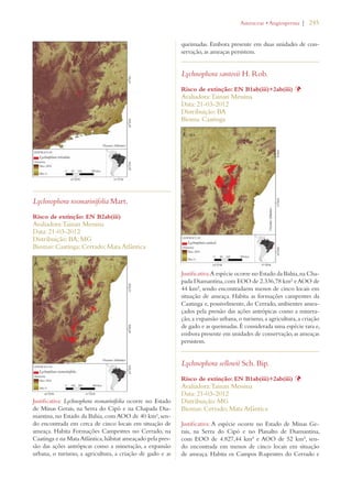 | 245 
Lychnophora rosmarinifolia Mart. 
Risco de extinção: EN B2ab(iii) 
Avaliadora: Tainan Messina 
Data: 21-03-2012 
Distribuição: BA; MG 
Biomas: Caatinga; Cerrado; Mata Atlântica 
Justificativa: Lychnophora rosmarinifolia ocorre no Estado 
de Minas Gerais, na Serra do Cipó e na Chapada Dia-mantina, 
no Estado da Bahia, com AOO de 40 km², sen-do 
encontrada em cerca de cinco locais em situação de 
ameaça. Habita Formações Campestres no Cerrado, na 
Caatinga e na Mata Atlântica, hábitat ameaçado pela pres-são 
das ações antrópicas como a mineração, a expansão 
urbana, o turismo, a agricultura, a criação de gado e as 
!STERACEAEs!NGIOSPERMA 
queimadas. Embora presente em duas unidades de con-servação, 
as ameaças persistem. 
Lychnophora santosii H. Rob. 
Risco de extinção: EN B1ab(iii)+2ab(iii) Þ 
Avaliadora: Tainan Messina 
Data: 21-03-2012 
Distribuição: BA 
Bioma: Caatinga 
Justificativa: A espécie ocorre no Estado da Bahia, na Cha-pada 
Diamantina, com EOO de 2.336,78 km² e AOO de 
44 km², sendo encontradaem menos de cinco locais em 
situação de ameaça. Habita as formações campestres da 
Caatinga e, possivelmente, do Cerrado, ambientes amea-çados 
pela pressão das ações antrópicas como a minera-ção, 
a expansão urbana, o turismo, a agricultura, a criação 
de gado e as queimadas. É considerada uma espécie rara e, 
embora presente em unidades de conservação, as ameaças 
persistem. 
Lychnophora sellowii Sch. Bip. 
Risco de extinção: EN B1ab(iii)+2ab(iii) Þ 
Avaliadora: Tainan Messina 
Data: 21-03-2012 
Distribuição: MG 
Biomas: Cerrado; Mata Atlântica 
Justificativa: A espécie ocorre no Estado de Minas Ge-rais, 
na Serra do Cipó e no Planalto de Diamantina, 
com EOO de 4.827,44 km² e AOO de 52 km², sen-do 
encontrada em menos de cinco locais em situação 
de ameaça. Habita os Campos Rupestres do Cerrado e 
 