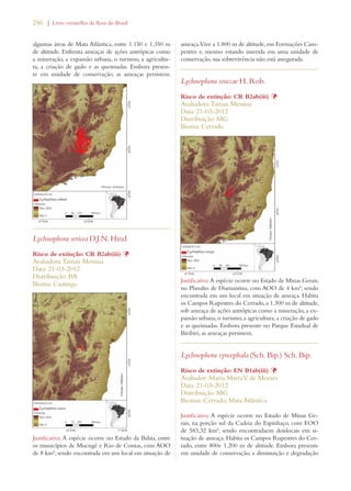 246 | Livro vermelho da flora do Brasil 
algumas áreas de Mata Atlântica, entre 1.150 e 1.350 m 
de altitude. Enfrenta ameaças de ações antrópicas como 
a mineração, a expansão urbana, o turismo, a agricultu-ra, 
a criação de gado e as queimadas. Embora presen-te 
em unidade de conservação, as ameaças persistem. 
Lychnophora sericea D.J.N. Hind 
Risco de extinção: CR B2ab(iii) Þ 
Avaliadora: Tainan Messina 
Data: 21-03-2012 
Distribuição: BA 
Bioma: Caatinga 
Justificativa: A espécie ocorre no Estado da Bahia, entre 
os municípios de Mucugê e Rio de Contas, com AOO 
de 8 km², sendo encontrada em um local em situação de 
ameaça. Vive a 1.800 m de altitude, em Formações Cam-pestres 
e, mesmo estando inserida em uma unidade de 
conservação, sua sobrevivência não está assegurada. 
Lychnophora souzae H. Rob. 
Risco de extinção: CR B2ab(iii) Þ 
Avaliadora: Tainan Messina 
Data: 21-03-2012 
Distribuição: MG 
Bioma: Cerrado 
Justificativa: A espécie ocorre no Estado de Minas Gerais, 
no Planalto de Diamantina, com AOO de 4 km², sendo 
encontrada em um local em situação de ameaça. Habita 
os Campos Rupestres do Cerrado, a 1.300 m de altitude, 
sob ameaça de ações antrópicas como a mineração, a ex-pansão 
urbana, o turismo, a agricultura, a criação de gado 
e as queimadas. Embora presente no Parque Estadual de 
Biribiri, as ameaças persistem. 
Lychnophora syncephala (Sch. Bip.) Sch. Bip. 
Risco de extinção: EN B1ab(iii) Þ 
Avaliador: Maria Marta V. de Moraes 
Data: 21-03-2012 
Distribuição: MG 
Biomas: Cerrado; Mata Atlântica 
Justificativa: A espécie ocorre no Estado de Minas Ge-rais, 
na porção sul da Cadeia do Espinhaço, com EOO 
de 583,32 km², sendo encontradaem doislocais em si-tuação 
de ameaça. Habita os Campos Rupestres do Cer-rado, 
entre 800e 1.200 m de altitude. Embora presente 
em unidade de conservação, a diminuição e degradação 
 