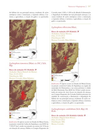 | 247 
do hábitat são sua principal ameaça, resultante de ações 
antrópicas como a mineração, a expansão urbana, o tu-rismo, 
a agricultura, a criação de gado e as queimadas. 
Lychnophora tomentosa (Mart. ex DC.) Sch. 
Bip. 
Risco de extinção: VU B1ab(iii) Þ 
Avaliador: Maria Marta V. de Moraes 
Data: 21-03-2012 
Distribuição: MG 
Biomas: Cerrado; Mata Atlântica 
Justificativa: A espécie ocorre no Estado de Minas Gerais, 
na porção central da Cadeia do Espinhaço, com EOO de 
7.522,07 km², sendo encontrada em menos de 10 locais 
em situação de ameaça. Habita os Campos Rupestres do 
!STERACEAEs!NGIOSPERMA 
Cerrado, entre 1.000 e 1.300 m de altitude. A diminuição 
e degradação do hábitat são suas principais ameaças, e as 
causas resultam de ações antrópicas como a mineração, 
a expansão urbana, o turismo, a agricultura, a criação de 
gado e as queimadas. 
Lychnophora villosissima Mart. 
Risco de extinção: EN B2ab(iii) Þ 
Avaliadora: Tainan Messina 
Data: 21-03-2012 
Distribuição: MG 
Biomas: Cerrado; Mata Atlântica 
Justificativa: A espécie ocorre no Estado de Minas Gerais, 
na porção central da Cadeia do Espinhaço, na região do 
município de Diamantina e nas serras próximo à cidade 
de Belo Horizonte.Tem AOO de 32 km², sendo encon-trada 
em menos de cinco locais em situação de ameaça, 
nos Campos Rupestres do Cerrado. Embora presente em 
unidade de conservação, a diminuição e degradação do 
hábitat são sua principal ameaça, resultante de ações an-trópicas 
como a mineração, a expansão urbana, o turismo, 
a agricultura, a criação de gado e as queimadas. 
Lychnophoriopsis candelabrum (Sch. Bip.) H. 
Rob. 
Risco de extinção: EN B1ab(iii)+2ab(iii) Þ 
Avaliador: Miguel Avila Moraes 
Data: 21-03-2012 
Distribuição: MG 
Bioma: Cerrado 
 
