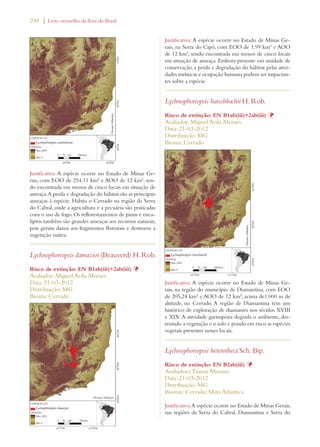 248 | Livro vermelho da flora do Brasil 
Justificativa: A espécie ocorre no Estado de Minas Ge-rais, 
com EOO de 254,11 km² e AOO de 12 km², sen-do 
encontrada em menos de cinco locais em situação de 
ameaça. A perda e degradação do hábitat são as principais 
ameaças à espécie. Habita o Cerrado na região da Serra 
do Cabral, onde a agricultura e a pecuária são praticadas 
com o uso de fogo. Os reflorestamentos de pinus e euca-liptos 
também são grandes ameaças aos recursos naturais, 
pois geram danos aos fragmentos florestais e destroem a 
vegetação nativa. 
Lychnophoriopsis damazioi (Beauverd) H. Rob. 
Risco de extinção: EN B1ab(iii)+2ab(iii) Þ 
Avaliador: Miguel Avila Moraes 
Data: 21-03-2012 
Distribuição: MG 
Bioma: Cerrado 
Justificativa: A espécie ocorre no Estado de Minas Ge-rais, 
na Serra do Cipó, com EOO de 1,99 km² e AOO 
de 12 km², sendo encontrada em menos de cinco locais 
em situação de ameaça. Embora presente em unidade de 
conservação, a perda e degradação do hábitat pelas ativi-dades 
turísticas e ocupação humana podem ser impactan-tes 
sobre a espécie. 
Lychnophoriopsis hatschbachii H. Rob. 
Risco de extinção: EN B1ab(iii)+2ab(iii) Þ 
Avaliador: Miguel Avila Moraes 
Data: 21-03-2012 
Distribuição: MG 
Bioma: Cerrado 
Justificativa: A espécie ocorre no Estado de Minas Ge-rais, 
na região do município de Diamantina, com EOO 
de 205,24 km² e AOO de 12 km², acima de1.000 m de 
altitude, no Cerrado. A região de Diamantina tem um 
histórico de exploração de diamantes nos séculos XVIII 
e XIX. A atividade garimpeira degrada o ambiente, des-truindo 
a vegetação e o solo e pondo em risco as espécies 
vegetais presentes nesses locais. 
Lychnophoriopsis heterotheca Sch. Bip. 
Risco de extinção: EN B2ab(iii) Þ 
Avaliadora: Tainan Messina 
Data: 21-03-2012 
Distribuição: MG 
Biomas: Cerrado; Mata Atlântica 
Justificativa: A espécie ocorre no Estado de Minas Gerais, 
nas regiões da Serra do Cabral, Diamantina e Serra do 
 