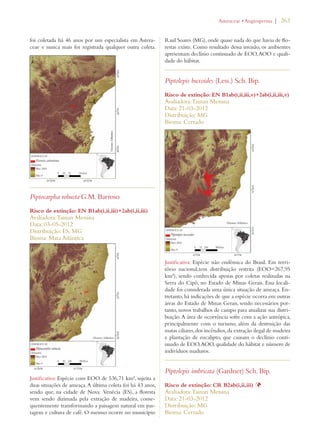 | 263 
foi coletada há 46 anos por um especialista em Astera-ceae 
e nunca mais foi registrada qualquer outra coleta. 
Piptocarpha robusta G.M. Barroso 
Risco de extinção: EN B1ab(i,ii,iii)+2ab(i,ii,iii) 
Avaliadora: Tainan Messina 
Data: 03-05-2012 
Distribuição: ES; MG 
Bioma: Mata Atlântica 
Justificativa: Espécie com EOO de 536,71 km², sujeita a 
duas situações de ameaça. A última coleta foi há 43 anos, 
sendo que, na cidade de Nova Venécia (ES), a floresta 
vem sendo dizimada pela extração de madeira, conse-quentemente 
transformando a paisagem natural em pas-tagem 
e cultura de café. O mesmo ocorre no município 
!STERACEAEs!NGIOSPERMA 
Raul Soares (MG), onde quase nada do que havia de flo-restas 
existe. Como resultado dessa invasão, os ambientes 
apresentam declínio continuado de EOO, AOO e quali-dade 
do hábitat. 
Piptolepis buxoides (Less.) Sch. Bip. 
Risco de extinção: EN B1ab(i,ii,iii,v)+2ab(i,ii,iii,v) 
Avaliadora: Tainan Messina 
Data: 21-03-2012 
Distribuição: MG 
Bioma: Cerrado 
Justificativa: Espécie não endêmica do Brasil. Em terri-tório 
nacional,tem distribuição restrita (EOO=267,95 
km²), sendo conhecida apenas por coletas realizadas na 
Serra do Cipó, no Estado de Minas Gerais. Essa locali-dade 
foi considerada uma única situação de ameaça. En-tretanto, 
há indicações de que a espécie ocorra em outras 
áreas do Estado de Minas Gerais, sendo necessários por-tanto, 
novos trabalhos de campo para atualizar sua distri-buição. 
A área de ocorrência sofre com a ação antrópica, 
principalmente com o turismo, além da destruição das 
matas ciliares, dos incêndios, da extração ilegal de madeira 
e plantação de eucalipto, que causam o declínio conti-nuado 
de EOO, AOO, qualidade do hábitat e número de 
indivíduos maduros. 
Piptolepis imbricata (Gardner) Sch. Bip. 
Risco de extinção: CR B2ab(i,ii,iii) Þ 
Avaliadora: Tainan Messina 
Data: 21-03-2012 
Distribuição: MG 
Bioma: Cerrado 
 