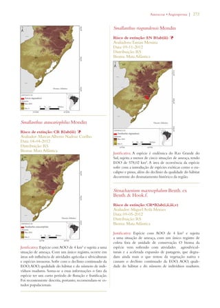 | 273 
Smallanthus araucariophilus Mondin 
Risco de extinção: CR B2ab(iii) Þ 
Avaliador: Marcus Alberto Nadruz Coelho 
Data: 04-04-2012 
Distribuição: RS 
Bioma: Mata Atlântica 
Justificativa: Espécie com AOO de 4 km² e sujeita a uma 
situação de ameaça. Com um único registro, ocorre em 
áreas sob influência de atividades agrícolas e silviculturais 
e espécies invasoras. Sofre com o declínio continuado da 
EOO, AOO, qualidade do hábitat e do número de indi-víduos 
maduros. Soma-se a essas informações o fato da 
espécie ter um curto período de floração e frutificação. 
Foi recentemente descrita, portanto, recomendam-se es-tudos 
populacionais. 
!STERACEAEs!NGIOSPERMA 
Smallanthus riograndensis Mondin 
Risco de extinção: EN B1ab(iii) Þ 
Avaliadora: Tainan Messina 
Data: 09-11-2012 
Distribuição: RS 
Bioma: Mata Atlântica 
Justificativa: A espécie é endêmica do Rio Grande do 
Sul, sujeita a menos de cinco situações de ameaça, tendo 
EOO de 578,02 km². A área de ocorrência da espécie 
sofre com a introdução de espécies exóticas como o eu-calipto 
e pinus, além do declínio da qualidade do hábitat 
decorrente do desmatamento histórico da região. 
Stenachaenium macrocephalum Benth. ex 
Benth.  Hook.f. 
Risco de extinção: CR*B2ab(i,ii,iii,v) 
Avaliador: Miguel Avila Moraes 
Data: 09-05-2012 
Distribuição: RS 
Bioma: Mata Atlântica 
Justificativa: Espécie com AOO de 4 km² e sujeita 
a uma situação de ameaça, com um único registro de 
coleta fora de unidade de conservação. O bioma da 
espécie vem sofrendo com atividades agrosilvicul-turais 
e a acelerada expansão de pastagens, que degra-dam 
ainda mais o que restou da vegetação nativa e 
causam o declínio continuado da EOO, AOO, quali-dade 
do hábitat e do número de indivíduos maduros. 
 