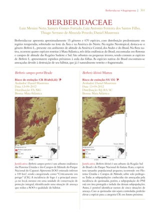 | 301 
ERBERIDACEAEs!NGIOSPERMA 
BERBERIDACEAE 
Luiz Menini Neto, Samyra Gomes Furtado, Luiz Antonio Ferreira dos Santos Filho, 
Thiago Serrano de Almeida Penedo, Daniel Maurenza 
Berberidaceae apresenta aproximadamente 15 gêneros e 670 espécies, com distribuição predominante em 
regiões temperadas, sobretudo no leste da Ásia e na América do Norte. Na região Neotropical, destaca-se o 
gênero Berberis L., presente em ambientes de altitude da América Central, dos Andes e do Brasil. Na flora na-tiva, 
ocorrem quatro espécies restritas à Mata Atlântica, três delas endêmicas do Brasil, encontradas em florestas 
e campos de altitude das Regiões Sudeste e Sul. São arbustos ou pequenas árvores, sendo comum as espécies 
de Berberis L. apresentarem espinhos próximos à axila das folhas. As espécies nativas do Brasil encontram-se 
ameaçadas devido à destruição de seu hábitat, que já é naturalmente restrito e fragmentado. 
Berberis campos-portoi Brade 
Risco de extinção: CR B1ab(ii,iii) Þ 
Avaliador: Daniel Maurenza 
Data: 13-09-2012 
Distribuição: ES; MG 
Bioma: Mata Atlântica 
Justificativa: Berberis campos-portoi é um arbusto endêmico 
das Florestas Úmidas e dos Campos de Altitude do Parque 
Nacional do Caparaó. Apresenta EOO estimada inferior 
a 100 km², sendo categorizada como “Criticamente em 
perigo” (CR). A incidência de fogo é a principal amea-ça 
no local, mesmo em uma unidade de conservação de 
proteção integral, identificando uma situação de ameaça 
que reduz a AOO e qualidade do hábitat. 
Berberis kleinii Mattos 
Risco de extinção: VU D2 Þ 
Avaliador: Daniel Maurenza 
Data: 13-09-2012 
Distribuição: RJ; RS; SC 
Bioma: Mata Atlântica 
Justificativa: Berberis kleinii é um arbusto da Região Sul 
do Brasil e do Parque Nacional do Itatiaia. Rara, a espécie 
tem tamanho populacional pequeno, ocorrendo em Flo-restas 
Úmidas e Campos de Altitude, sobre solo pedrego-so. 
Todas as subpopulações conhecidas são ameaçadas pela 
incidência de queimadas, porém, a subpopulação do PNI 
está em área protegida e isolada das demais subpopulações. 
Assim, é possível identificar menos de cinco situações de 
ameaça. Caso as queimadas não sejam controladas, poderão 
elevar a espécie para a categoria CR em futuro próximo. 
 