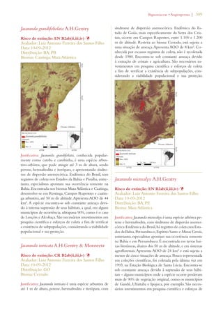 | 309 
Jacaranda grandifoliolata A.H.Gentry 
Risco de extinção: EN B2ab(ii,iii,iv) Þ 
Avaliador: Luiz Antonio Ferreira dos Santos Filho 
Data: 10-09-2012 
Distribuição: BA; PB 
Biomas: Caatinga; Mata Atlântica 
Justificativa: Jacaranda grandifoliata, conhecida popular-mente 
como caroba e carobinha, é uma espécie arbus-tivo- 
arbórea, que pode atingir até 3 m de altura, sendo 
perene, hermafrodita e iterópara, e apresentando síndro-me 
de dispersão anemocórica. Endêmica do Brasil, tem 
registros de coleta nos Estados da Bahia e Paraíba, entre-tanto, 
especialistas apontam sua ocorrência somente na 
Bahia. Encontrada nos biomas Mata Atlântica e Caatinga, 
desenvolve-se em Restinga, Campos Rupestres e caatin-ga 
arbustiva, até 50 m de altitude. Apresenta AOO de 44 
km². A espécie encontra-se sob constante ameaça devi-do 
à intensa supressão de seus hábitats, a qual, em alguns 
municípios de ocorrência, ultrapassa 90%, como é o caso 
de Lençóis e Alcobaça. São necessários investimentos em 
pesquisa científica e esforços de coleta a fim de verificar 
a existência de subpopulações, considerando a viabilidade 
populacional e sua proteção. 
Jacaranda intricata A.H.Gentry  Morawetz 
Risco de extinção: CR B2ab(ii,iii,iv) Þ 
Avaliador: Luiz Antonio Ferreira dos Santos Filho 
Data: 10-09-2012 
Distribuição: GO 
Bioma: Cerrado 
Justificativa: Jacaranda intricata é uma espécie arbustiva de 
até 1 m de altura, perene, hermafrodita e iterópara, com 
IGNONIACEAEs!NGIOSPERMA 
síndrome de dispersão anemocórica. Endêmica do Es-tado 
de Goiás, mais especificamente da Serra dos Cris-tais, 
ocorre em Campos Rupestres, entre 1.100 e 1.200 
m de altitude. Restrita ao bioma Cerrado, está sujeita a 
uma situação de ameaça. Apresenta AOO de 8 km². Co-nhecida 
por escassos registros de coleta, não é recoletada 
desde 1980. Encontra-se sob constante ameaça devido 
à extração de cristais e agricultura. São necessários in-vestimentos 
em pesquisa científica e esforços de coleta 
a fim de verificar a existência de subpopulações, con-siderando 
a viabilidade populacional e sua proteção. 
Jacaranda microcalyx A.H.Gentry 
Risco de extinção: EN B2ab(ii,iii,iv) Þ 
Avaliador: Luiz Antonio Ferreira dos Santos Filho 
Data: 10-09-2012 
Distribuição: BA; PE 
Bioma: Mata Atlântica 
Justificativa: Jacaranda microcalyx é uma espécie arbórea pe-rene 
e hermafrodita, com síndrome de dispersão anemo-córica. 
Endêmica do Brasil, há registros de coleta nos Esta-dos 
da Bahia, Pernambuco, Espírito Santo e Minas Gerais, 
entretanto, especialistas apontam sua ocorrência somente 
na Bahia e em Pernambuco. É encontrada em terras bai-xas 
litorâneas, abaixo dos 50 m de altitude, e em sistemas 
agroflorestais. Apresenta AOO de 24 km² e está sujeita a 
menos de cinco situações de ameaça. Pouco representada 
em coleções científicas, foi coletada pela última vez em 
1993, na Estação Biológica de Santa Lúcia. Encontra-se 
sob constante ameaça devido à supressão de seus hábi-tats 
– alguns municípios onde a espécie ocorre perderam 
mais de 90% de vegetação original, como os municípios 
de Gandú, Ubaitaba e Ipojuca, por exemplo. São neces-sários 
investimentos em pesquisa científica e esforços de 
 
