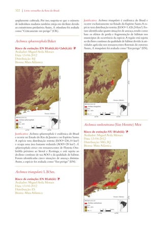 322 | Livro vermelho da flora do Brasil 
amplamente cultivada. Por isso, suspeita-se que o número 
de indivíduos maduros também esteja em declínio devido 
ao extrativismo predatório. Assim, A. orlandiana foi avaliada 
como “Criticamente em perigo” (CR). 
Aechmea sphaerocephala Baker 
Risco de extinção: EN B1ab(ii,iii)+2ab(ii,iii) Þ 
Avaliador: Miguel Avila Moraes 
Data: 13-04-2012 
Distribuição: RJ 
Bioma: Mata Atlântica 
Justificativa: Aechmea sphaerocephala é endêmica do Brasil 
e ocorre no Estado do Rio de Janeiro e no Espírito Santo. 
A espécie tem distribuição restrita (EOO=236,10 km²) 
e ocupa uma área bastante reduzida (AOO=28 km²). A. 
sphaerocephala cresce em remanescentes de Floresta Om-brófila 
próximo ao litoral e Restinga, e está sujeita ao 
declínio contínuo de sua AOO e da qualidade de hábitat. 
Foram identificadas cinco situações de ameaça distintas. 
Assim, a espécie foi avaliada como “Em perigo” (EN). 
Aechmea triangularis L.B.Sm. 
Risco de extinção: EN B1ab(iii) Þ 
Avaliador: Miguel Avila Moraes 
Data: 13-04-2012 
Distribuição: ES 
Bioma: Mata Atlântica 
Justificativa: Aechmea triangularis é endêmica do Brasil e 
ocorre exclusivamente no Estado do Espírito Santo. A es-pécie 
tem distribuição restrita (EOO=1.426,24 km²). Fo-ram 
identificadas quatro situações de ameaça, tendo como 
base os efeitos de perda e fragmentação de hábitats nos 
municípios de ocorrência da espécie. A região está sujeita 
ao declínio contínuo da qualidade de hábitat devido às ati-vidades 
agrícolas nos remanescentes florestais do entorno. 
Assim, A. triangularis foi avaliada como “Em perigo” (EN). 
Aechmea vanhoutteana (Van Houtte) Mez 
Risco de extinção: VU B1ab(iii) Þ 
Avaliador: Miguel Avila Moraes 
Data: 13-04-2012 
Distribuição: MG; RJ 
Bioma: Mata Atlântica 
 