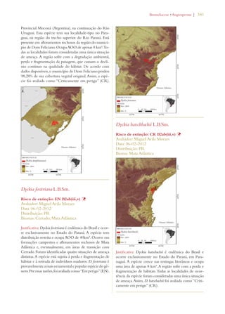 | 341 
Provincial Moconá (Argentina), na continuação do Rio 
Uruguai. Essa espécie tem sua localidade-tipo no Para-guai, 
na região do trecho superior do Rio Paraná. Está 
presente em afloramentos rochosos da região do municí-pio 
de Dom Feliciano. Ocupa AOO de apenas 8 km². To-das 
as localidades foram consideradas uma única situação 
de ameaça. A região sofre com a degradação ambiental, 
perda e fragmentação da paisagem, que causam o declí-nio 
contínuo na qualidade do hábitat. De acordo com 
dados disponíveis, o município de Dom Feliciano perdeu 
98,28% de sua cobertura vegetal original. Assim, a espé-cie 
foi avaliada como “Criticamente em perigo” (CR). 
Dyckia fosteriana L.B.Sm. 
Risco de extinção: EN B2ab(iii,v) Þ 
Avaliador: Miguel Avila Moraes 
Data: 06-02-2012 
Distribuição: PR 
Biomas: Cerrado; Mata Atlântica 
Justificativa: Dyckia fosteriana é endêmica do Brasil e ocor-re 
exclusivamente no Estado do Paraná. A espécie tem 
distribuição restrita e ocupa AOO de 40km². Ocorre em 
formações campestres e afloramentos rochosos de Mata 
Atlântica e, eventualmente, em áreas de transição com 
Cerrado. Foram identificadas quatro situações de ameaça 
distintas. A espécie está sujeita à perda e fragmentação de 
hábitat e à retirada de indivíduos maduros. D. fosteriana é 
provavelmente a mais ornamental e popular espécie do gê-nero. 
Por essas razões, foi avaliada como “Em perigo” (EN). 
ROMELIACEAEs!NGIOSPERMA 
Dyckia hatschbachii L.B.Sm. 
Risco de extinção: CR B2ab(iii,v) Þ 
Avaliador: Miguel Avila Moraes 
Data: 06-02-2012 
Distribuição: PR 
Bioma: Mata Atlântica 
Justificativa: Dyckia hatscbachii é endêmica do Brasil e 
ocorre exclusivamente no Estado do Paraná, em Para-naguá. 
A espécie cresce nas restingas litorâneas e ocupa 
uma área de apenas 8 km². A região sofre com a perda e 
fragmentação de hábitats. Todas as localidades de ocor-rência 
da espécie foram consideradas uma única situação 
de ameaça. Assim, D. hatscbachii foi avaliada como “Criti-camente 
em perigo” (CR). 
 