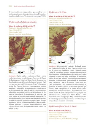 344 | Livro vermelho da flora do Brasil 
de conservação vem se agravando, o que pode levar à ex-tinção 
da espécie em futuro próximo. Assim, D. pseudococ-cinea 
foi avaliada como “Criticamente em perigo” (CR). 
Dyckia rariflora Schult.  Schult.f. 
Risco de extinção: EN B1ab(iii) Þ 
Avaliador: Miguel Avila Moraes 
Data: 06-02-2012 
Distribuição: MG 
Biomas: Cerrado; Mata Atlântica 
Justificativa: Dyckia rariflora é endêmica do Brasil e ocorre 
exclusivamente em áreas de Campos Rupestres da Cadeia 
do Espinhaço no Estado de Minas Gerais. A espécie tem 
distribuição restrita à Serra do Itabirito e Serra do Cipó 
e ocupa uma área (AOO) de apenas 36 km². O emprego 
secular dos Campos Rupestres como pastagens naturais, 
associado à mineração, às queimadas, ao extrativismo e 
ao desmatamento das matas de galeria comprometem a 
sobrevivência de muitas espécies de Bromeliaceae da Ba-hia 
e de Minas Gerais. A situação atual de ameaças a que 
estão sujeitas as espécies dos Campos Rupestres da Ca-deia 
do Espinhaço torna urgente a realização de pesqui-sas 
sobre taxonomia, genética de populações e biologia 
reprodutiva. Foram identificadas três situações de ameaça 
distintas, referentes a cada uma das três localidades onde 
a planta ocorre. Assim, D. rariflora foi avaliada como “Em 
perigo” (EN). 
Dyckia reitzii L.B.Sm. 
Risco de extinção: EN B2ab(iii) Þ 
Avaliador: Miguel Avila Moraes 
Data: 06-02-2012 
Distribuição: PR; SC 
Biomas: Cerrado; Mata Atlântica 
Justificativa: Dyckia reitzii é endêmica do Brasil, ocorre 
nos Estados do Paraná e de Santa Catarina e tem regis-tros 
de coletas nos Estados do Paraná e Santa Catarina. 
Dados de especialistas indicam sua presença também no 
Rio Grande do Sul. Habita formações campestres e aflo-ramentos 
rochosos, em solos pedregosos de arenito ou 
basalto do alto dos “taimbés” da Serra Geral, onde forma 
pequenos e descontínuos agrupamentos de indivíduos, 
entre 1.400 m e 1.800 m de altitude. Ocupa uma área 
(AOO) de 84 km² e está sujeita ao declínio contínuo da 
qualidade de hábitat, devido às atividades agrícolas que 
levam à perda e fragmentação de hábitat. Foram consi-deradas 
duas situações de ameaça, de acordo com o di-ferente 
padrão de perda e fragmentação da paisagem nos 
Estados de Santa Catarina e do Paraná. Assim, D. reitzii 
foi avaliada como “Em perigo” (EN). Entretanto, estudos 
de estrutura populacional ajudariam a dar subsídios para 
uma avaliação ainda mais consistente. 
Dyckia remotiflora Otto  A.Dietr. 
Risco de extinção: B2ab(iii,v) 
Avaliador: Miguel Avila Moraes 
Data: 06-02-2012 
Distribuição: PR; RS; SC 
Biomas: Cerrado; Mata Atlântica; Pampa 
 