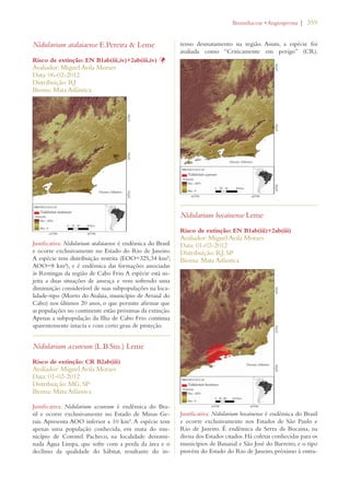 | 359 
Nidularium atalaiaense E.Pereira  Leme 
Risco de extinção: EN B1ab(iii,iv)+2ab(iii,iv) Þ 
Avaliador: Miguel Avila Moraes 
Data: 06-02-2012 
Distribuição: RJ 
Bioma: Mata Atlântica 
Justificativa: Nidularium atalaiaense é endêmica do Brasil 
e ocorre exclusivamente no Estado do Rio de Janeiro. 
A espécie tem distribuição restrita (EOO=325,34 km²; 
AOO=8 km²), e é endêmica das formações associadas 
às Restingas da região de Cabo Frio. A espécie está su-jeita 
a duas situações de ameaça e vem sofrendo uma 
diminuição considerável de suas subpopulações na loca-lidade- 
tipo (Morro do Atalaia, município de Arraial do 
Cabo) nos últimos 20 anos, o que permite afirmar que 
as populações no continente estão próximas da extinção. 
Apenas a subpopulação da Ilha de Cabo Frio continua 
aparentemente intacta e com certo grau de proteção. 
Nidularium azureum (L.B.Sm.) Leme 
Risco de extinção: CR B2ab(iii) 
Avaliador: Miguel Avila Moraes 
Data: 01-02-2012 
Distribuição: MG; SP 
Bioma: Mata Atlântica 
Justificativa: Nidularium azureum é endêmica do Bra-sil 
e ocorre exclusivamente no Estado de Minas Ge-rais. 
Apresenta AOO inferior a 10 km². A espécie tem 
apenas uma população conhecida, em mata do mu-nicípio 
de Coronel Pacheco, na localidade denomi-nada 
Água Limpa, que sofre com a perda da área e o 
declínio da qualidade do hábitat, resultante do in-tenso 
ROMELIACEAEs!NGIOSPERMA 
desmatamento na região. Assim, a espécie foi 
avaliada como “Criticamente em perigo” (CR). 
Nidularium bocainense Leme 
Risco de extinção: EN B1ab(iii)+2ab(iii) 
Avaliador: Miguel Avila Moraes 
Data: 01-02-2012 
Distribuição: RJ; SP 
Bioma: Mata Atlântica 
Justificativa: Nidularium bocainense é endêmica do Brasil 
e ocorre exclusivamente nos Estados de São Paulo e 
Rio de Janeiro. É endêmica da Serra da Bocaina, na 
divisa dos Estados citados. Há coletas conhecidas para os 
municípios de Bananal e São José do Barreiro, e o tipo 
provém do Estado do Rio de Janeiro, próximo à entra- 
 