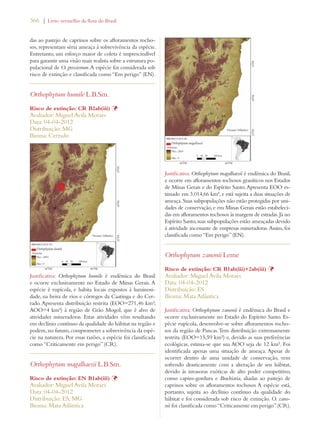366 | Livro vermelho da flora do Brasil 
das ao pastejo de caprinos sobre os afloramentos rocho-sos, 
representam séria ameaça à sobrevivência da espécie. 
Entretanto, um esforço maior de coleta é imprescindível 
para garantir uma visão mais realista sobre a estrutura po-pulacional 
de O. grossiorum. A espécie foi considerada sob 
risco de extinção e classificada como “Em perigo” (EN). 
Orthophytum humile L.B.Sm. 
Risco de extinção: CR B2ab(iii) Þ 
Avaliador: Miguel Avila Moraes 
Data: 04-04-2012 
Distribuição: MG 
Bioma: Cerrado 
Justificativa: Orthophytum humile é endêmica do Brasil 
e ocorre exclusivamente no Estado de Minas Gerais. A 
espécie é rupícola, e habita locais expostos à luminosi-dade, 
na beira de rios e córregos da Caatinga e do Cer-rado. 
Apresenta distribuição restrita (EOO=271,46 km²; 
AOO=4 km²) à região de Grão Mogol, que é alvo de 
atividades mineradoras. Estas atividades vêm resultando 
em declínio contínuo da qualidade do hábitat na região e 
podem, no futuro, comprometer a sobrevivência da espé-cie 
na natureza. Por essas razões, a espécie foi classificada 
como “Criticamente em perigo” (CR). 
Orthophytum magalhaesii L.B.Sm. 
Risco de extinção: EN B1ab(iii) Þ 
Avaliador: Miguel Avila Moraes 
Data: 04-04-2012 
Distribuição: ES; MG 
Bioma: Mata Atlântica 
Justificativa: Orthophytum magalhaesii é endêmica do Brasil, 
e ocorre em afloramentos rochosos graníticos nos Estados 
de Minas Gerais e do Espírito Santo. Apresenta EOO es-timado 
em 3.014,66 km², e está sujeita a duas situações de 
ameaça. Suas subpopulações não estão protegidas por uni-dades 
de conservação, e em Minas Gerais estão estabeleci-das 
em afloramentos rochosos às margens de estradas. Já no 
Espírito Santo, suas subpopulações estão ameaçadas devido 
à atividade incessante de empresas mineradoras. Assim, foi 
classificada como “Em perigo” (EN). 
Orthophytum zanonii Leme 
Risco de extinção: CR B1ab(iii)+2ab(iii) Þ 
Avaliador: Miguel Avila Moraes 
Data: 04-04-2012 
Distribuição: ES 
Bioma: Mata Atlântica 
Justificativa: Orthophytum zanonii é endêmica do Brasil e 
ocorre exclusivamente no Estado do Espírito Santo. Es-pécie 
rupícola, desenvolve-se sobre afloramentos rocho-sos 
da região de Pancas. Tem distribuição extremamente 
restrita (EOO=15,59 km²) e, devido as suas preferências 
ecológicas, estima-se que sua AOO seja de 12 km². Foi 
identificada apenas uma situação de ameaça. Apesar de 
ocorrer dentro de uma unidade de conservação, vem 
sofrendo drasticamente com a alteração de seu hábitat, 
devido às invasoras exóticas de alto poder competitivo, 
como capim-gordura e Brachiaria, aliadas ao pastejo de 
caprinos sobre os afloramentos rochosos A espécie está, 
portanto, sujeita ao declínio contínuo da qualidade do 
hábitat e foi considerada sob risco de extinção. O. zano-nii 
foi classificada como “Criticamente em perigo” (CR). 
 
