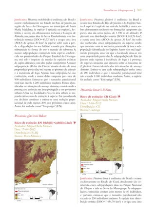 | 369 
Justificativa: Pitcairnia encholirioides é endêmica do Brasil e 
ocorre exclusivamente no Estado do Rio de Janeiro, na 
região da Serra do Desengano, no município de Santa 
Maria Madalena. A espécie é saxícola ou rupícola, he-liófila, 
e ocorre em afloramentos rochosos e Campos de 
Altitude, nas partes altas da Serra. P. encholirioides tem dis-tribuição 
restrita (EOO=40,72 km²) e ocupa uma área 
(AOO) de apenas 20 km². A espécie sofre com a per-da 
e degradação do seu hábitat, causada por alterações 
substanciais na forma de uso e manejo do substrato. A 
menor subpopulação conhecida desta espécie, estabele-cida 
nas proximidades do Parque Estadual do Desenga-no, 
está sob o impacto da invasão de espécies exóticas 
de capins africanos com alto poder competitivo. A maior 
subpopulação (Pedra das Flores), situada dentro de uma 
propriedade particular, está sujeita ao pisoteio de animais 
e à incidência de fogo. Apenas duas subpopulações são 
conhecidas, sendo a maior delas composta por cerca de 
900 indivíduos. Estima-se que o tamanho populacional 
total não exceda 1.200 indivíduos maduros. Foram iden-tificadas 
três situações de ameaça distintas, considerando a 
presença ou ausência em áreas protegidas e em perímetro 
urbano. Uma das localidades está em área urbana e, im-pondo 
sério risco de extinção à espécie. Foi considerada 
em declínio contínuo e estima-se uma redução popu-lacional 
de pelo menos 20% nos próximos cinco anos. 
Assim, foi avaliada como “Em perigo” (EN). 
Pitcairnia glaziovii Baker 
Risco de extinção: EN B1ab(iii)+2ab(iii);C2a(i) Þ 
Avaliador: Miguel Avila Moraes 
Data: 17-04-2012 
Distribuição: ES; RJ 
Bioma: Mata Atlântica 
ROMELIACEAEs!NGIOSPERMA 
Justificativa: Pitcairnia glaziovii é endêmica do Brasil e 
ocorre nos Estados do Rio de Janeiro e do Espírito San-to. 
A espécie é rupícola ou saxícola, heliófila, e cresce so-bre 
afloramentos rochosos em formações campestres das 
partes altas das serras (acima de 1.100 m de altitude). P. 
glaziovii tem distribuição restrita (EOO=4.945,76 km²) 
e ocupa uma área (AOO) de apenas 36 km². Ao todo 
são conhecidas cinco subpopulações da espécie, sendo 
que somente uma se encontra preservada. A única sub-população 
identificada no Espírito Santo não está legal-mente 
protegida, uma vez que a localidade situa-se em 
uma propriedade particular. As subpopulações do Rio de 
Janeiro estão sujeitas à incidência de fogo e à presença 
de espécies invasoras que crescem sobre as touceiras de 
P. glaziovii. Foram identificadas três situações de ameaça 
distintas. Estima-se que cada subpopulação tenha cerca 
de 200 indivíduos e que o tamanho populacional total 
não exceda 1.000 indivíduos maduros. Assim, a espécie 
foi avaliada como “Em perigo” (EN). 
Pitcairnia limae L.B.Sm. 
Risco de extinção: CR C2a(i) Þ 
Avaliador: Miguel Avila Moraes 
Data: 17-04-2012 
Distribuição: CE 
Bioma: Caatinga 
Justificativa: Pitcairnia limae é endêmica do Brasil e ocorre 
exclusivamente no Estado do Ceará. Atualmente são co-nhecidas 
cinco subpopulações: duas no Parque Nacional 
de Ubajara e três na Serra do Maranguape. As subpopu-lações 
conhecidas contam com menos de 50 indivíduos, 
e portanto, estima-se que o tamanho populacional não 
exceda os 250 indivíduos maduros. A espécie tem distri-buição 
restrita (EOO=1.434,78 km²) e ocupa uma área 
 