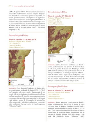 370 | Livro vermelho da flora do Brasil 
(AOO) de apenas 10 km². P. limae é rupícola ou saxícola e 
cresce sobre os afloramentos rochosos da região. A agricul-tura 
praticada no local ocasiona queimadas frequentes, for-mando 
grandes extensões com supressão de vegetação e 
solos expostos no entorno das áreas protegidas. O local de 
ocorrência dessa espécie é intensamente visitado por turis-tas, 
o que vem causando o declínio contínuo da qualidade 
do hábitat. Foram identificadas duas situações de ameaça 
distintas. Assim, P. limae foi avaliada como “Criticamente 
em perigo” (CR). 
Portea alatisepala Philcox 
Risco de extinção: VU B1ab(iii,iv) Þ 
Avaliador: Miguel Avila Moraes 
Data: 04-04-2012 
Distribuição: BA 
Bioma: Mata Atlântica 
Justificativa: Portea alatisepala é endêmica do Brasil e ocor-re 
exclusivamente no Estado da Bahia (EOO=9.792,03 
km²). A região sofre com a perda e fragmentação de há-bitat 
devido às atividades agropecuárias extensivas. Tendo 
por base os registros de ocorrência e o mapa de remanes-centes 
da região, acredita-se que a população da espécie 
esteja sujeita a menos de 10 situações de ameaça. Tem 
valor ornamental e indivíduos maduros são comerciali-zados 
localmente. Por essas razões, foi classificada como 
“Vulnerável” (VU). 
Portea fosteriana L.B.Sm. 
Risco de extinção: EN B1ab(iii) Þ 
Avaliador: Miguel Avila Moraes 
Data: 04-04-2012 
Distribuição: ES; RJ 
Bioma: Mata Atlântica 
Justificativa: Portea fosteriana é endêmica do Brasil e 
ocorre exclusivamente nos Estados do Espírito San-to 
e Rio de Janeiro. A espécie tem distribuição restrita 
(EOO=3.072,20 km²), e está sujeita a duas situações de 
ameaça, considerando as diferenças regionais relativas à 
perda de hábitat entre a região serrana do Espírito Santo 
e a serra no município de Santa Maria Madalena (RJ). 
Por essas razões, P. fosteriana foi considerada em risco de 
extinção e classificada como “Em perigo” (EN). 
Portea grandiflora Philcox 
Risco de extinção: VU B1ab(iii) Þ 
Avaliador: Miguel Avila Moraes 
Data: 04-04-2012 
Distribuição: BA 
Bioma: Mata Atlântica 
Justificativa: Portea grandiflora é endêmica do Brasil e 
ocorre exclusivamente no Estado da Bahia. A espé-cie 
habita áreas de Floresta Estacional Semidecidual e 
Restingas, tendo distribuição restrita (EOO=11.151,83 
km²). Com base nos registros de ocorrência e nos re-manescentes 
de vegetação foram identificadas seis si-tuações 
de ameaça distintas. Por essas razões, a es-pécie 
foi classificada como “Vulnerável” (VU). 
 