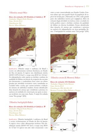 | 373 
Tillandsia araujei Mez 
Risco de extinção: EN B1ab(iii,v)+2ab(iii,v) Þ 
Avaliador: Miguel Avila Moraes 
Data: 28-04-2012 
Distribuição: RJ 
Bioma: Mata Atlântica 
Justificativa: Tillandsia araujei é endêmica do Brasil e 
ocorre em afloramentos rochosos litorâneos, no Estado 
do Rio de Janeiro. A espécie tem distribuição restrita 
(EOO=3.870,34 km²) e ocupa uma AOO de 104 km². 
As subpopulações estão sujeitas ao declínio contínuo da 
qualidade de hábitat, em função da ocupação das encostas 
por loteamentos e condomínios, bem como aos efeitos 
gerados por atividades recreativas como caminhadas ou 
escaladas sobre a rocha, que causam inclusive a redução 
do número de indivíduos maduros. Foram identificadas 
duas situações de ameaça que consideram a presença ou 
ausência em unidades de conservação, nas quais as amea-ças 
incidentes são mais raras. Assim, T. araujei foi avaliada 
como “Em perigo” (EN). 
Tillandsia brachyphylla Baker 
Risco de extinção: EN B1ab(iii,v)+2ab(iii,v) Þ 
Avaliador: Miguel Avila Moraes 
Data: 28-04-2012 
Distribuição: RJ 
Bioma: Mata Atlântica 
Justificativa: Tillandsia brachyphylla é endêmica do Brasil 
e ocorre exclusivamente no Estado do Rio de Janeiro. 
A espécie cresce sobre afloramentos rochosos. Tem dis-tribuição 
restrita (EOO=347 km²) e ocupa uma AOO 
de 12 km². A espécie tem alto valor ornamental e está 
ROMELIACEAEs!NGIOSPERMA 
entre as mais comercializadas nos Estados Unidos. Exis-tem 
relatos que uma grande fração da população da es-pécie 
foi levada para a Alemanha em 1991, onde grande 
parte dos indivíduos morreu por negligência. Além da 
extração ilegal, atividades recreativas, como a escalada em 
rocha, podem causar o declínio contínuo da qualidade 
do hábitat em diversas localidades. Foram identificadas 
duas situações de ameaça que consideram a presença 
ou ausência de subpopulações em áreas protegidas. As-sim, 
T. brachyphylla foi avaliada como “Em perigo” (EN). 
Tillandsia crocata (E.Morren) Baker 
Risco de extinção: EN B2ab(iii) 
Avaliador: Miguel Avila Moraes 
Data: 28-04-2012 
Distribuição: PR; RJ; RS; SP 
Biomas: Cerrado; Mata Atlântica; Pampa 
 