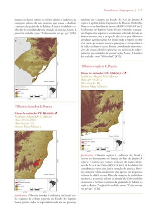 | 375 
mentos rochosos sofrem os efeitos diretos e indiretos da 
ocupação urbana de seu entorno, que causa o declínio 
contínuo da qualidade de hábitat. A única localidade co-nhecida 
foi considerada uma situação de ameaça. Assim, T. 
jonesii foi avaliada como “Criticamente em perigo” (CR). 
Tillandsia kautskyi E.Pereira 
Risco de extinção: VU B1ab(iii) Þ 
Avaliador: Miguel Avila Moraes 
Data: 29-04-2012 
Distribuição: ES 
Bioma: Mata Atlântica 
Justificativa: Tillandsia kautskyi é endêmica do Brasil, ten-do 
registros de coletas somente no Estado do Espírito 
Santo, porém, dados de especialistas indicam sua presença 
ROMELIACEAEs!NGIOSPERMA 
também em Campos, no Estado do Rio de Janeiro. A 
espécie é epífita, habita fragmentos de Floresta Ombrófila 
Densa e tem distribuição restrita (EOO=5.869,83 km²). 
As florestas do Espírito Santo foram reduzidas a peque-nos 
fragmentos esparsos e continuam sofrendo devido ao 
desmatamento para a ocupação das terras por diferentes 
atividades agropecuárias. Os locais onde a espécie ocorre 
têm como principais ameaças pastagens e monoculturas 
de café, eucalipto e cacau. Foram consideradas duas situa-ções 
de ameaça devido à presença ou ausência de subpo-pulações 
em unidades de conservação. Assim, T. kautskyi 
foi avaliada como “Vulnerável” (VU). 
Tillandsia neglecta E.Pereira 
Risco de extinção: CR B2ab(iii,v) Þ 
Avaliador: Miguel Avila Moraes 
Data: 29-04-2012 
Distribuição: RJ 
Bioma: Mata Atlântica 
Justificativa: Tillandsia neglecta é endêmica do Brasil e 
ocorre exclusivamente no Estado do Rio de Janeiro. A 
espécie é restrita aos costões rochosos da região litorâ-nea 
de Arraial do Cabo (AOO=8 km²). A localidade foi 
considerada como uma única situação de ameaça. Devi-do 
à intensa coleta, atualmente vive apenas em pequenos 
redutos de difícil acesso. Além da extração de indivíduos 
maduros, a expansão urbana de Arraial do Cabo também 
ocasionou o declínio contínuo da qualidade de hábitat da 
espécie. Assim, T. neglecta foi avaliada como “Criticamente 
em perigo” (CR). 
 