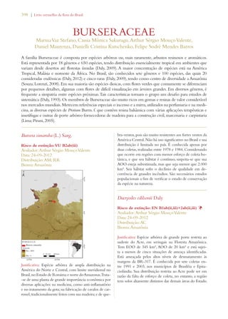 398 | Livro vermelho da flora do Brasil 
BURSERACEAE 
Marina Vaz Stefano, Cassia Mônica Sakuragu, Arthur Sérgio Mouço Valente, 
Daniel Maurenza, Danielli Cristina Kutschenko, Felipe Sodré Mendes Barros 
A família Burseraceae é composta por espécies arbóreas ou, mais raramente, arbustos resinosos e aromáticos. 
Está representada por 18 gêneros e 650 espécies, tendo distribuição essencialmente tropical em ambientes que 
variam desde desertos até florestas úmidas (Daly, 2009). A maior concentração de espécies está na América 
Tropical, Malásia e noroeste da África. No Brasil, são conhecidos sete gêneros e 100 espécies, das quais 20 
consideradas endêmicas (Daly, 2012) e cinco raras (Daly, 2009), tendo como centro de diversidade a Amazônia 
(Souza; Lorenzi, 2008). Em sua maioria são espécies dioicas, com flores verdes que comumente se diferenciam 
por pequenos detalhes, algumas com flores de difícil visualização em árvores grandes. Em diversos gêneros, é 
frequente a simpatria entre espécies próximas. Tais características tornam o grupo um desafio para estudos de 
sistemática (Daly, 1993). Os membros de Burseraceae são muito ricos em gomas e resinas de valor considerável 
nos mercados mundiais. Merecem referências especiais o incenso e a mirra, utilizados na perfumaria e na medi-cina, 
as diversas espécies de Protium Burm. f. que contêm resina balsâmica com várias aplicações terapêuticas e 
insetífugas e outras de porte arbóreo fornecedoras de madeira para a construção civil, marcenaria e carpintaria 
(Lima; Pirani, 2005). 
Bursera simaruba (L.) Sarg. 
Risco de extinção: VU B2ab(iii) 
Avaliador: Arthur Sérgio Mouço Valente 
Data: 24-09-2012 
Distribuição: AM; RR 
Bioma: Amazônia 
Justificativa: Espécie arbórea de ampla distribuição na 
América do Norte e Central, com limite meridional no 
Brasil, no Estado de Roraima e norte do Amazonas. Trata- 
-se de uma planta de grande importância econômica por 
diversas aplicações: na medicina, como anti-inflamatório 
e no tratamento da gota; na fabricação de cavalos de car-rossel, 
tradicionalmente feitos com sua madeira; e de que-bra- 
ventos, pois são muito resistentes aos fortes ventos da 
América Central. Não há uso significativo no Brasil e sua 
distribuição é limitada no país. É conhecida apenas por 
duas coletas, realizadas entre 1978 e 1984. Considerando 
que ocorre em regiões com menor esforço de coleta bo-tânica, 
e que seu hábitat é contínuo, suspeita-se que sua 
AOO esteja subestimada, mas que seja menor que 2.000 
km². Seu hábitat sofre o declínio de qualidade em de-corrência 
de grandes incêndios. São necessários estudos 
populacionais a fim de verificar o estado de conservação 
da espécie na natureza. 
Dacryodes edilsonii Daly 
Risco de extinção: EN B1ab(ii,iii)+2ab(ii,iii) Þ 
Avaliador: Arthur Sérgio Mouço Valente 
Data: 24-09-2012 
Distribuição: AC 
Bioma: Amazônia 
Justificativa: Espécie arbórea de grande porte restrita ao 
sudeste do Acre, em seringais na Floresta Amazônica. 
Tem EOO de 345 km², AOO de 20 km² e está sujei-ta 
a menos de cinco situações de ameaça identificadas. 
Está ameaçada pelos altos níveis de desmatamento às 
margens da BR-317. É conhecida por sete coletas en-tre 
1991 e 2003, nos municípios de Brasiléia e Epita-ciolândia. 
Sua distribuição restrita ao Acre pode ser em 
razão da falta de esforço de coleta, no entanto, a região 
tem solos altamente distintos das demais áreas do Estado. 
 