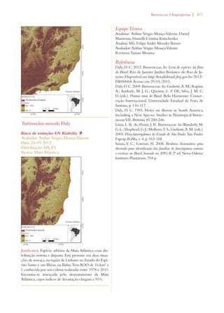 | 401 
Trattinnickia mensalis Daly 
Risco de extinção: EN B2ab(iii) Þ 
Avaliador: Arthur Sérgio Mouço Valente 
Data: 24-09-2012 
Distribuição: BA; ES 
Bioma: Mata Atlântica 
Justificativa: Espécie arbórea da Mata Atlântica com dis-tribuição 
restrita e disjunta. Está presente em duas situa-ções 
de ameaça, na região de Linhares no Estado do Espí-rito 
Santo e em Ilhéus, na Bahia. Tem AOO de 16 km² e 
é conhecida por seis coletas realizadas entre 1978 e 2011. 
Encontra-se ameaçada pelo desmatamento da Mata 
Atlântica, cujos índices de devastação chegam a 91%. 
URSERACEAEs!NGIOSPERMA 
Equipe Técnica 
Analistas: Arthur Sérgio Mouço Valente, Daniel 
Maurenza, Danielli Cristina Kutschenko 
Analista SIG: Felipe Sodré Mendes Barros 
Avaliador: Arthur Sérgio Mouço Valente 
Revisora: Tainan Messina 
Referências 
Daly, D. C. 2012. Burseraceae. In: Lista de espécies da flora 
do Brasil. Rio de Janeiro: Jardim Botânico do Rio de Ja-neiro. 
Disponível em http: floradobrasil.jbrj.gov.br/2012/ 
FB000068. Acesso em 29/01/2013. 
Daly, D. C. 2009. Burseraceae. In: Giulietti, A. M.; Rapini, 
A.; Andrade, M. J. G.; Queiroz, L. P. DE; Silva, J. M. C. 
D. (eds.). Plantas raras do Brasil. Belo Horizonte: Conser-vação 
Internacional, Universidade Estadual de Feira de 
Santana, p. 116-117. 
Daly, D. C. 1993. Notes on Bursera in South America, 
Including a New Species. Studies in Neotropical Burse-raceae 
VII. Brittonia 45:240-246. 
Lima, L. R. de; Pirani, J. R. Burseraceae. In: Wanderly, M. 
G. L.; Shepherd, G. J.; Melhem, T. S.; Giulietti, A. M. (eds.). 
2005. Flora fanerogâmica do Estado de São Paulo. São Paulo: 
Fapesp, RiMa, v. 4, p. 163-168. 
Souza, V. C.; Lorenzi, H. 2008. Botânica Sistemática: guia 
ilustrado para identificação das famílias de fanerógamas nativas 
e exóticas no Brasil, baseado na APG II. 2ª ed. Nova Odessa: 
Instituto Plantarum, 704 p. 
 