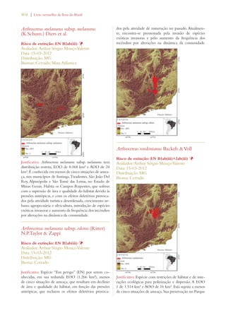 404 | Livro vermelho da flora do Brasil 
Arthrocereus melanurus subsp. melanurus 
(K.Schum.) Diers et al. 
Risco de extinção: EN B2ab(iii) Þ 
Avaliador: Arthur Sérgio Mouço Valente 
Data: 15-03-2012 
Distribuição: MG 
Biomas: Cerrado; Mata Atlântica 
Justificativa: Arthrocereus melanurus subsp. melanurus tem 
distribuição restrita, EOO de 8.068 km² e AOO de 24 
km². É conhecida em menos de cinco situações de amea-ça, 
nos municípios de Itutinga, Tiradentes, São João Del 
Rey, Alpinópolis e São Tomé das Letras, no Estado de 
Minas Gerais. Habita os Campos Rupestres, que sofrem 
com a supressão de área e qualidade do hábitat devido às 
pressões antrópicas, e com os efeitos deletérios provoca-dos 
pela atividade turística desordenada, crescimento ur-bano, 
agropecuária e silvicultura, introdução de espécies 
exóticas invasoras e aumento da frequência dos incêndios 
por alterações na dinâmica da comunidade. 
Arthrocereus melanurus subsp. odorus (Ritter) 
N.P.Taylor  Zappi 
Risco de extinção: EN B1ab(iii) Þ 
Avaliador: Arthur Sérgio Mouço Valente 
Data: 15-03-2012 
Distribuição: MG 
Bioma: Cerrado 
Justificativa: Espécie “Em perigo” (EN) por serem co-nhecidas, 
em sua reduzida EOO (1.266 km²), menos 
de cinco situações de ameaça, que resultam em declínio 
de área e qualidade do hábitat, em função das pressões 
antrópicas, que incluem os efeitos deletérios provoca-dos 
pela atividade de mineração no passado. Atualmen-te, 
encontra-se pressionada pela invasão de espécies 
exóticas invasoras e pelo aumento da frequência dos 
incêndios por alterações na dinâmica da comunidade. 
Arthrocereus rondonianus Backeb.  Voll 
Risco de extinção: EN B1ab(iii)+2ab(iii) Þ 
Avaliador: Arthur Sérgio Mouço Valente 
Data: 15-03-2012 
Distribuição: MG 
Bioma: Cerrado 
Justificativa: Espécie com restrições de hábitat e de inte-rações 
ecológicas para polinização e dispersão. A EOO 
é de 1.514 km² e AOO de 16 km². Está sujeita a menos 
de cinco situações de ameaça. Sua preservação no Parque 
 