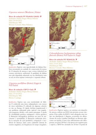 | 407 
Cipocereus minensis (Werderm.) Ritter 
Risco de extinção: VU B1ab(iii)+2ab(iii) Þ 
Avaliador: Arthur Sérgio Mouço Valente 
Data: 16-04-2012 
Distribuição: MG 
Biomas: Cerrado; Mata Atlântica 
Justificativa: Espécie com especificidade de hábitat. Em-bora 
encontrada em unidade de conservação, há menos 
de 10 situações de ameaça, o que a torna vulnerável aos 
eventos estocásticos ambientais. A qualidade do hábitat 
tem sido degradada sobretudo em sua distribuição mais 
ao sul, em áreas sujeitas à mineração e expansão urbana. 
Cipocereus pusilliflorus (Ritter) Zappi  
N.P.Taylor 
Risco de extinção: CR*C1+2a(i) Þ 
Avaliador: Arthur Sérgio Mouço Valente 
Data: 15-03-2012 
Distribuição: MG 
Bioma: Caatinga 
Justificativa: Espécie rara com restritividade de hábi-tat. 
É conhecida uma única subpopulação com menos 
de cinco indivíduos. É cultivada em algumas coleções 
ex situ na Europa. O rápido declínio populacional é 
um problema enfrentado pelas espécies com popula-ções 
pequenas, devido a três razões principais: 1) perda 
de variabilidade genética, endogamia e deriva genética; 
2) flutuações demográficas aleatórias nas taxas de nas-cimento 
e mortalidade; 3) flutuações ambientais devi-do 
às variações de ação predatória, competição e inci-dência 
de doenças, assim como catástrofes naturais de 
eventos singulares, em frequências de tempo irregulares. 
#ACTACEAEs!NGIOSPERMA 
Coleocephalocereus buxbaumianus subsp. 
flavisetus (Ritter) N.P.Taylor  Zappi 
Risco de extinção: VU B2ab(ii,iii) Þ 
Avaliador: Arthur Sérgio Mouço Valente 
Data: 13-03-2012 
Distribuição: MG 
Biomas: Cerrado; Mata Atlântica 
Justificativa: Espécie sujeita a no máximo seis situações 
de ameaça, embora sua EOO não permita acessar cate-gorias. 
Uma análise da AOO é mais adequada, uma vez 
que sua distribuição é disjunta, ocorrendo em aflora-mentos 
de rocha cristalina (Inselbergs) ou florestas adja-centes 
aos lajedos. Como esses afloramentos não ultra-passam, 
em geral, 200 km² e há apenas sete registros para 
a espécie, a AOO foi calculada em 24 km². A perda de 
 
