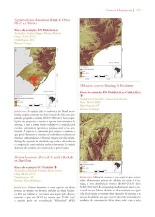 | 415 
Gymnocalycium denudatum (Link  Otto) 
Pfeiff. ex Mittler 
Risco de extinção: EN B1ab(iii,iv,v) 
Avaliador: Arthur Sérgio Mouço Valente 
Data: 13-03-2012 
Distribuição: RS 
Bioma: Pampa 
Justificativa: A espécie não é endêmica do Brasil, ocor-rendo, 
no país, somente no Rio Grande do Sul, com am-plitude 
geográfica restrita (EOO=588 km²). Suas popu-lações 
são pequenas e sujeitas a apenas duas situações de 
ameaça, o que a torna muito vulnerável à extinção por 
eventos estocásticos (genético, populacional e/ou am-biental). 
A espécie é consumida por ovinos e caprinos, o 
que pode diminuir o número de indivíduos maduros ou 
eliminar subpopulações. O bioma Pampa tem sido degra-dado 
pela expansão de atividades agrícolas e silviculturais 
e competição com espécies exóticas invasoras. A espécie 
depende de medidas de conservação e preservação. 
Hatiora herminiae (Porto  Castell.) Backeb. 
ex Barthlott 
Risco de extinção: VU B1ab(iii) Þ 
Avaliadora: Danielli Cristina Kutschenko 
Data: 04-04-2012 
Distribuição: SP 
Bioma: Mata Atlântica 
Justificativa: Hatiora herminiae é uma espécie suculenta 
perene, ocorrente em floresta nebular na Mata Atlânti-ca. 
Por seu hábitat se encontrar ameaçado pelo desma-tamento 
e por sua EOO ser menor que 20.000 km², 
a espécie pode ser considerada “Vulnerável” (VU). 
#ACTACEAEs!NGIOSPERMA 
Melocactus azureus Buining  Brederoo 
Risco de extinção: EN B1ab(i,ii,iii,v)+2ab(i,ii,iii,v) 
ÞAvaliadora: Danielli Cristina Kutschenko 
Data: 16-03-2012 
Distribuição: BA 
Bioma: Caatinga 
Justificativa: Melocactus azureus é uma espécie que ocorre 
sobre afloramentos planos de calcário em meio à Caa-tinga, 
e tem distribuição restrita (EOO=255,74 km²; 
AOO500 km²). É ameaçada pela destruição atual e po-tencial 
do seu hábitat devido ao desenvolvimento agrí-cola. 
Está sujeita a somente duas situações de ameaça e as 
poucas localidades em que ocorre não estão incluídas em 
unidades de conservação. Além disso, sofre com a ação 
 