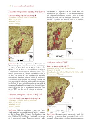 418 | Livro vermelho da flora do Brasil 
Melocactus pachyacanthus Buining  Brederoo 
Risco de extinção: EN B1ab(i,iii,v) Þ 
Avaliadora: Danielli Cristina Kutschenko 
Data: 16-03-2012 
Distribuição: BA 
Bioma: Caatinga 
Justificativa: Melocactus pachyacanthus se desenvolve em 
afloramentos planos e expostos de calcário na Caatinga 
do Estado da Bahia. Tem uma EOO de 3.428,65 km². 
Ocorre na Área de Proteção Ambiental Gruta dos Brejões 
e é legalmente protegida pela Convenção sobre o Co-mércio 
Internacional de Espécies Selvagens da Fauna e 
da Flora. Tem menos de cinco subpopulações, das quais 
somente uma abriga um número grande de indivíduos, 
as demais são bem menores, com algumas centenas ou 
poucas dezenas de indivíduos; sua população encontra-se 
em declínio. As ameaças incidentes sobre a espécie são a 
perda da qualidade do hábitat e a ação de coletores. Diante 
disso, pode-se dizer que M. pachyacanthus encontra-se “Em 
perigo” (EN), com alto risco de extinção na natureza. 
Melocactus paucispinus Heimen  R.J.Paul 
Risco de extinção: VU B1ab(iii,v);C2a(i) Þ 
Avaliadora: Danielli Cristina Kutschenko 
Data: 16-03-2012 
Distribuição: BA 
Bioma: Caatinga 
Justificativa: Melocactus paucispinus ocorre em Cam-pos 
Rupestres e na transição entre Caatinga e Cerra-do 
do Estado da Bahia. Apresenta distribuição restrita 
com EOO de 11.036,43 km² e é registrada em menos 
de 10 situações de ameaça. Tem como ameaças a ação 
de coletores e a degradação do seu hábitat. Além dis-so, 
estima-se que haja menos de 10.000 indivíduos em 
sua população, que está em declínio. Diante do expos-to, 
pode-se dizer que M. paucispinus encontra-se “Vul-nerável” 
(VU) com alto risco de extinção na natureza. 
Melocactus violaceus Pfeiff. 
Risco de extinção: VU A2c Þ 
Avaliador: Arthur Sérgio Mouço Valente 
Data: 16-03-2012 
Distribuição: AL; BA; ES; MG; PB; PE; RJ; RN; SE 
Bioma: Mata Atlântica 
Justificativa: Melocactus violaceus, apesar de ter ampla dis-tribuição 
e ocorrer em áreas protegidas, é uma espécie 
ameaçada pela perda do seu hábitat, sendo que algumas 
 
