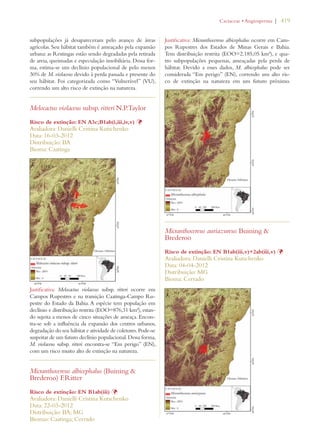 | 419 
subpopulações já desapareceram pelo avanço de áreas 
agrícolas. Seu hábitat também é ameaçado pela expansão 
urbana: as Restingas estão sendo degradadas pela retirada 
de areia, queimadas e especulação imobiliária. Dessa for-ma, 
estima-se um declínio populacional de pelo menos 
30% de M. violaceus devido à perda passada e presente do 
seu hábitat. Foi categorizada como “Vulnerável” (VU), 
correndo um alto risco de extinção na natureza. 
Melocactus violaceus subsp. ritteri N.P.Taylor 
Risco de extinção: EN A3c;B1ab(i,iii,iv,v) Þ 
Avaliadora: Danielli Cristina Kutschenko 
Data: 16-03-2012 
Distribuição: BA 
Bioma: Caatinga 
Justificativa: Melocactus violaceus subsp. ritteri ocorre em 
Campos Rupestres e na transição Caatinga-Campo Ru-pestre 
do Estado da Bahia. A espécie tem população em 
declínio e distribuição restrita (EOO=876,31 km²), estan-do 
sujeita a menos de cinco situações de ameaça. Encon-tra- 
se sob a influência da expansão dos centros urbanos, 
degradação do seu hábitat e atividade de coletores. Pode-se 
suspeitar de um futuro declínio populacional. Dessa forma, 
M. violaceus subsp. ritteri encontra-se “Em perigo” (EN), 
com um risco muito alto de extinção na natureza. 
Micranthocereus albicephalus (Buining  
Brederoo) F.Ritter 
Risco de extinção: EN B1ab(iii) Þ 
Avaliadora: Danielli Cristina Kutschenko 
Data: 22-03-2012 
Distribuição: BA; MG 
Biomas: Caatinga; Cerrado 
#ACTACEAEs!NGIOSPERMA 
Justificativa: Micranthocereus albicephalus ocorre em Cam-pos 
Rupestres dos Estados de Minas Gerais e Bahia. 
Tem distribuição restrita (EOO=2.185,05 km²), e qua-tro 
subpopulações pequenas, ameaçadas pela perda de 
hábitat. Devido a esses dados, M. albicephalus pode ser 
considerada “Em perigo” (EN), correndo um alto ris-co 
de extinção na natureza em um futuro próximo. 
Micranthocereus auriazureus Buining  
Brederoo 
Risco de extinção: EN B1ab(iii,v)+2ab(iii,v) Þ 
Avaliadora: Danielli Cristina Kutschenko 
Data: 04-04-2012 
Distribuição: MG 
Bioma: Cerrado 
 