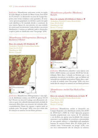 420 | Livro vermelho da flora do Brasil 
Justificativa: Micranthocereus auriazureus ocorre na região 
de Grão Mogol, no Estado de Minas Gerais. Tem EOO 
de 271,46 km² e se desenvolve em áreas de Campo Ru-pestre, 
entre rochas cristalinas e areia quartzítica. M. auria-zureus 
apresenta população em declínio e parte da região 
onde distribui-se foi inundada devido a construção de 
uma represa. Apesar de estar presente em uma unidade 
de conservação recentemente criada, devido a sua restrita 
distribuição e à ameaça ao ambiente onde se desenvolve, 
a espécie pode ser classificada como “Em perigo” (EN). 
Micranthocereus dolichospermaticus (Buining  
Brederoo) F.Ritter 
Risco de extinção: EN B1ab(ii,iii) Þ 
Avaliadora: Danielli Cristina Kutschenko 
Data: 16-03-2012 
Distribuição: BA 
Bioma: Cerrado 
Justificativa: Micranthocereus dolichospermaticus é uma espé-cie 
de distribuição restrita com EOO de apenas 521,02 
km². Ocorre em áreas de Caatinga com afloramento cal-cário, 
as quais vêm sofrendo diminuição pela atividade de 
mineração. Além disso, suas sementes são coletadas indis-criminadamente. 
Diante do exposto, a espécie pode ser 
avaliada como “Em perigo” (EN), com risco muito alto 
de extinção na natureza em um futuro próximo. 
Micranthocereus polyanthus (Werderm.) 
Backeb. 
Risco de extinção: EN B1b(iii,v)+2b(iii,v) Þ 
Avaliadora: Danielli Cristina Kutschenko 
Data: 22-03-2012 
Distribuição: BA 
Bioma: Caatinga 
Justificativa: Micranthocereus polyanthus é uma espécie com 
EOO e AOO restritas com somente 260,90 km² de dis-tribuição. 
Além disso, é relatado na literatura que a sua 
população encontra-se em declínio, e que seu hábitat está 
ameaçado por atividades mineradoras. Diante disso, a espé-cie 
pode ser avaliada como “Em perigo” (EN), com risco 
muito alto de extinção na natureza em um futuro próximo. 
Micranthocereus streckeri Van Heek  Van 
Criek. 
Risco de extinção: CR B2ab(i,ii,iii,v);C2a(ii) Þ 
Avaliadora: Danielli Cristina Kutschenko 
Data: 22-03-2012 
Distribuição: BA 
Bioma: Caatinga 
Justificativa: Micranthocereus streckeri se desenvolve em 
Campos Rupestres com distribuição restrita. Tem EOO 
de 259,04 km² e AOO de 4 km². Apresenta pequeno 
tamanho populacional, com menos de 50 indivíduos 
e em declínio, em apenas uma localidade. São ameaças 
iminentes à sua localidade de ocorrência a proximidade 
de uma grande rodovia e a degradação pela população 
humana do entorno. Diante disto, M. streckeri pode ser 
avaliada como “Criticamente em perigo” (CR), com 
um risco extremamente alto de extinção na natureza. 
 