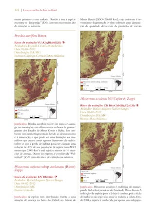 424 | Livro vermelho da flora do Brasil 
muito próximo a uma rodovia. Devido a isso, a espécie 
encontra-se “Em perigo” (EN), com um risco muito alto 
de extinção na natureza. 
Pereskia aureiflora Ritter 
Risco de extinção: VU A2c;B1ab(ii,iii) Þ 
Avaliadora: Danielli Cristina Kutschenko 
Data: 09-04-2012 
Distribuição: BA; MG 
Biomas: Caatinga; Cerrado; Mata Atlântica 
Justificativa: Pereskia aureiflora ocorre em meio à Caatin-ga, 
em associação com afloramentos rochosos de gnaisse/ 
granito dos Estados de Minas Gerais e Bahia. Esse am-biente 
vem sendo fragmentado devido ao desmatamento 
e à mineração, o que pode ser uma limitação aos ma-míferos 
que atuam como agentes dispersores da espécie. 
Infere-se que a perda de hábitat possa ter causado uma 
redução de 30% de sua população. A espécie tem AOO 
menor que 2.000 km² e está sujeita a menos de 10 situa-ções 
de ameaça. Diante do exposto, é considerada “Vul-nerável” 
(VU), com alto risco de extinção na natureza. 
Pilosocereus aurisetus subsp. aurilanatus (Ritter) 
Zappi 
Risco de extinção: EN B1ab(iii) Þ 
Avaliador: Rafael Augusto Xavier Borges 
Data: 08-02-2012 
Distribuição: MG 
Bioma: Cerrado 
Justificativa: A espécie tem distribuição restrita a uma 
situação de ameaça na Serra do Cabral, no Estado de 
Minas Gerais (EOO=266,05 km²), cujo ambiente é se-veramente 
fragmentado e vêm sofrendo uma diminui-ção 
de qualidade decorrente da produção de carvão. 
Pilosocereus azulensis N.P.Taylor  Zappi 
Risco de extinção: CR B1a+2ab(iii);C2a(i,ii) Þ 
Avaliador: Rafael Augusto Xavier Borges 
Data: 08-02-2012 
Distribuição: BA; MG 
Bioma: Mata Atlântica 
Justificativa: Pilosocereus azulensis é endêmica do municí-pio 
de Pedra Azul, nordeste do Estado de Minas Gerais. A 
indicação da espécie para a Bahia é confusa, pois a ficha 
de herbário não especifica onde se realizou a coleta. Des-de 
2004, a espécie é conhecida por apenas uma subpopu- 
 