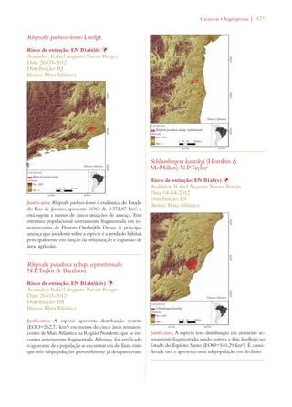 | 427 
Rhipsalis pacheco-leonis Loefgr. 
Risco de extinção: EN B1ab(iii) Þ 
Avaliador: Rafael Augusto Xavier Borges 
Data: 26-03-2012 
Distribuição: RJ 
Bioma: Mata Atlântica 
Justificativa: Rhipsalis pacheco-leonis é endêmica do Estado 
do Rio de Janeiro, apresenta EOO de 2.372,87 km², e 
está sujeita a menos de cinco situações de ameaça. Tem 
estrutura populacional severamente fragmentada em re-manescentes 
de Floresta Ombrófila Densa. A principal 
ameaça que incidente sobre a espécie é a perda do hábitat, 
principalmente em função da urbanização e expansão de 
áreas agrícolas. 
Rhipsalis paradoxa subsp. septentrionalis 
N.P.Taylor  Barthlott 
Risco de extinção: EN B1ab(iii,iv) Þ 
Avaliador: Rafael Augusto Xavier Borges 
Data: 26-03-2012 
Distribuição: BA 
Bioma: Mata Atlântica 
Justificativa: A espécie apresenta distribuição restrita 
(EOO=262,73 km²) em menos de cinco áreas remanes-centes 
de Mata Atlântica na Região Nordeste, que se en-contra 
severamente fragmentada. Ademais, foi verificado 
o agravante de a população se encontrar em declínio, visto 
que três subpopulações provavelmente já desapareceram. 
#ACTACEAEs!NGIOSPERMA 
Schlumbergera kautskyi (Horobin  
McMillan) N.P.Taylor 
Risco de extinção: EN B1ab(v) Þ 
Avaliador: Rafael Augusto Xavier Borges 
Data: 04-04-2012 
Distribuição: ES 
Bioma: Mata Atlântica 
Justificativa: A espécie tem distribuição em ambiente se-veramente 
fragmentado, sendo restrita a dois Inselbergs no 
Estado do Espírito Santo (EOO=540,29 km²). É consi-derada 
rara e apresenta uma subpopulação em declínio. 
 