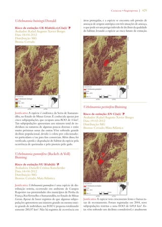 | 429 
Uebelmannia buiningii Donald 
Risco de extinção: CR B2ab(iii,v);C2a(i) Þ 
Avaliador: Rafael Augusto Xavier Borges 
Data: 04-04-2012 
Distribuição: MG 
Bioma: Cerrado 
Justificativa: A espécie é endêmica da Serra de Itamaran-diba, 
no Estado de Minas Gerais. É conhecida apenas por 
cinco subpopulações, que ocupam uma AOO de 4 km². 
Tais subpopulações apresentam um número total de in-divíduos 
na natureza de algumas poucas dezenas e estão 
muito próximas umas das outras. Vêm sofrendo grande 
declínio populacional, devido à coleta por colecionado-res 
particulares e/ou para fins comerciais. Além disso, foi 
verificada a perda e degradação do hábitat da espécie pela 
ocorrência de queimadas e pelo pisoteio pelo gado. 
Uebelmannia gummifera (Backeb.  Voll) 
Buining 
Risco de extinção: VU B1ab(iii) Þ 
Avaliadora: Danielli Cristina Kutschenko 
Data: 04-04-2012 
Distribuição: MG 
Biomas: Cerrado; Mata Atlântica 
Justificativa: Uebelmannia gummifera é uma espécie de dis-tribuição 
restrita, ocorrendo em ambiente de Campos 
Rupestres nas proximidades dos municípios de Penha da 
França, Rio Vermelho e Itamarandiba, no Estado de Minas 
Gerais. Apesar de haver registros de que algumas subpo-pulações 
apresentem um número grande ou mesmo mui-to 
grande de indivíduos, sua EOO é pequena totalizando 
somente 285,97 km². Não há registros de ocorrência em 
#ACTACEAEs!NGIOSPERMA 
áreas protegidas, e a espécie se encontra sob pressão de 
ameaças de origem antrópica em três situações de ameaça, 
o que pode ser um perigo inferido de declínio da qualidade 
do hábitat, levando a espécie ao risco futuro de extinção. 
Uebelmannia pectinifera Buining 
Risco de extinção: EN C2a(i) Þ 
Avaliador: Rafael Augusto Xavier Borges 
Data: 09-02-2012 
Distribuição: MG 
Biomas: Cerrado; Mata Atlântica 
Justificativa: A espécie tem crescimento lento e baixas ta-xas 
de recrutamento. Foram registradas em 2004, nove 
subpopulações restritas a uma EOO de 649,8 km². Es-tas 
vêm sofrendo um declínio considerável, e atualmente 
 