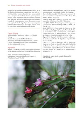 430 | Livro vermelho da flora do Brasil 
apresentam de algumas dezenas a poucas centenas de in-divíduos, 
sendo o tamanho populacional total inferior a 
2.500 indivíduos maduros. Este é o valor limite definido 
para a categorização resultante. Dentre as ameaças iden-tificadas 
como responsáveis por esse declínio, atualmen-te 
as principais são: coleta comercial por colecionadores, 
extração de plantas para uso como alimento e remédio 
pela população local, degradação dos campos rupestres 
por atividades de mineração, invasão por espécies exóti-cas, 
ocorrência de incêndios e expansão urbana. 
Equipe Técnica 
Analistas: Pablo Viany Prieto, Roberta Liz Oliveira 
Hering 
Analista SIG: Felipe Sodré Mendes Barros 
Avaliadores: Rafael Augusto Xavier Borges, Danielli 
Cristina Kutschenko, Arthur Sérgio Mouço Valente 
Revisor: Miguel Avila Moraes 
Referências 
Aona, L.Y.S. 2003. Caracterização e delimitação do gêne-ro 
Micranthocereus Backeb. (Cactaceae) baseadas em ca-racteres 
morfológicos e moleculares. Dissertação de Mes-trado. 
Campinas: Universidade Estadual de Campinas. 
Bauer, D.; Waechter, J.L. 2006. Sinopse taxonômica de 
Cactaceae epifíticas no Rio Grande do Sul, Brasil. Acta 
Botanica Brasilica 20:225-239. 
Hunt, D.; Taylor, N. P.; Charles, C. 2006. The New Cactus 
Lexicon. Vol. 2. Milborne Port: DH Publications. 
Lima, J. L.S. D. 1996. Plantas forrageiras das Caatingas – usos 
e potencialidades. Petrolina: Embrapa-CPATSA-PNE-RB-GKEW, 
37 p. 
Mello, R.J.F.B. 2011. Conservação das Cactáceas no Bra-sil. 
In: Silva, S.R.; Zappi, D.; Taylor, N.; Machado, M. Pla-no 
de ação nacional para a conservação das Cactáceas. Série 
Espécies Ameaçadas, 24. Brasília: Instituto Chico Mendes 
de Conservação da Biodiversidade, ICMBio, 112 p. 
Zappi, D. C.; Taylor, N. 2008. Diversidade e endemismo 
das Cactaceae na Cadeia do Espinhaço. Megadiversidade 
4(1-2):111-116. 
Zappi, D. C.; Taylor, N.; Larocca, J. 2011. A riqueza das 
Cactaceae no Brasil. In: Silva, S.R.; Zappi, D.; Taylor, N.; 
Machado, M. Plano de ação nacional para a conservação das 
Cactáceas. Série Espécies Ameaçadas, 24. Brasília: Institu-to 
Chico Mendes de Conservação da Biodiversidade – 
ICMBio, 112 p. 
Abaixo: Lepismium cruciforme | Categoria: LC 
Página à direita, embaixo: Rhipsalis floccosa | Categoria: LC 
(Fotos: Claúdio Augusto Mondin) 
Página à direita, no alto: Parodia crassigiba | Categoria: EN 
(Foto: Martin Molz) 
 