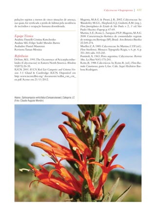 | 433 
pulações sujeitas a menos de cinco situações de ameaça, 
nas quais, foi verificada a perda de hábitat pela incidência 
de incêndios e ocupação humana desordenada. 
Equipe Técnica 
Analista: Danielli Cristina Kutschenko 
Analista SIG: Felipe Sodré Mendes Barros 
Avaliador: Daniel Maurenza 
Revisora: Tainan Messina 
Referências 
DeVore, M.L. 1991. The Occurrence of Acicarpha tribu-loides 
(Calyceraceae) in Eastern North America. Rhodora 
93(873):26-35. 
IUCN. 2001. IUCN Red List Categories and Criteria: Ver-sion 
3.1. Gland  Cambridge: IUCN. Disponível em 
http: www.iucnredlist.org/ documents/redlist_cats_crit_ 
en.pdf. Acesso em 21/11/2012. 
Magenta, M.A.G.  Pirani, J. R. 2002. Calyceraceae. In: 
Wanderley M.G.L.; Shepherd, G.J.; Giulietti, A.M. (org. ). 
Flora fanerogâmica do Estado de São Paulo, v. 2., 1a ed. São 
Paulo: Hucitec-Fapesp, p. 67-69. 
Martins, S. E.; Rossi, L.; Sampaio, P.S.P.; Magenta, M.A.G. 
2008. Caracterização florística de comunidades vegetais 
de restinga em Bertioga (SP), Brasil. Acta Botanica Brasilica 
22:249-274. 
Mueller, C.A. 1885. Calyceraceae. In: Martius, C.F.P. (ed.). 
Flora brasiliensis. Monaco: Typografia Regia, v. 6, pt. 4, p. 
351-360, tabs. 103-241. 
Pontiroli, A. 1963. Flora argentina. Calyceraceae. Revista 
Mus. La Plata 9(41):175-241. 
Reitz, R. 1988. Caliceráceas. In: Reitz, R. (ed.). Flora Ilus-trada 
Catarinense, parte I, fasc. Calic. Itajaí: Herbário Bar-bosa 
Rodrigues. 
Abaixo: Siphocampylus verticillatus (Campanulaceae) | Categoria: LC 
(Foto: Cláudio Augusto Mondin) 
#ALYCERACEAEs!NGIOSPERMA 
 