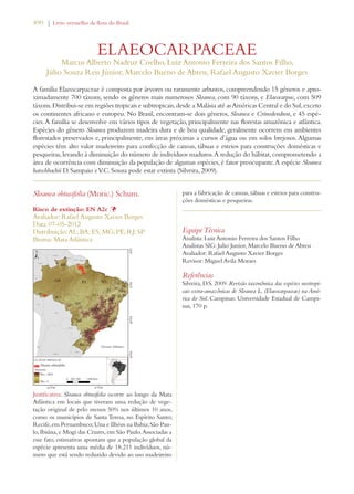 Livro vermelho