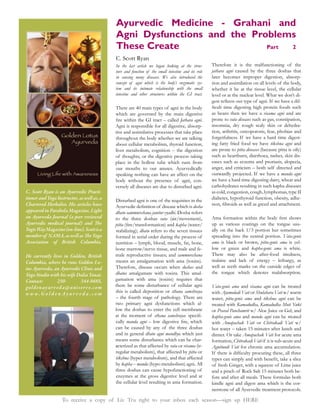 Ayurvedic Medicine - Grahani and
                                               Agni Dysfunctions and the Problems
                                               These Create                 Part 2
                                               C. Scott Ryan
                                               In the last article we began looking at the struc-      Therefore it is the malfunctioning of the
                                               ture and function of the small intestine and its role   jathara agni caused by the three doshas that
                                               in causing many diseases. We also introduced the        later becomes improper digestion, absorp-
                                               concept of agni which is the body’s enzymatic sys-      tion and assimilation on all levels of the body,
                                               tem and its intimate relationship with the small        whether it be at the tissue level, the cellular
                                               intestine and other structures within the GI tract.     level or at the nuclear level. What we don’t di-
                                                                                                                                                      -
                                               There are 40 main types of agni in the body
                                               which are governed by the main digestive                as beans then we have a visama agni and are
                                                                                  Jathara agni.        prone to vata diseases such as gas, constipation,
                                               Agni is responsible for all digestive, absorp-          insomnia, dry rough scaly skin or dehydra-
                                               tive and assimilative processes that take place         tion, arthritis, osteoporosis, fear, phobias and
                                               throughout the body whether we are talking              forgetfulness. If we have a hard time digest-
                                               about cellular metabolism, thyroid function,            ing fatty fried food we have tikshna agni and
                                                                                                       are prone to pitta diseases (because pitta is oily)
                                               of thoughts, or the digestive process taking            such as heartburn, diarrhoea, rashes, skin dis-
                                               place in the hollow tube which runs from                eases such as eczema and psoriasis, alopecia,
                                               our mouths to our anuses. Ayurvedically
                                               speaking nothing can have an affect on the              outwardly projected. If we have a manda agni
                                               body without the presence of agni, con-                 we have a hard time digesting dairy, wheat and
                                               versely all diseases are due to disturbed agni.         carbohydrates resulting in such kapha diseases
C. Scott Ryan is an Ayurvedic Practi-                                                                  as cold, congestion, cough, lymphomas, type II
tioner and Yoga Instructor, as well as, a      Disturbed agni is one of the requisites in the          diabetes, hypothyroid function, obesity, adhe-
Chartered Herbalist. His articles have                                                    dosha
appeared in Parabola Magazine, Light           dhatu sammurcchana janitor vyadhi. Dosha refers
on Ayurveda Journal (a peer reviewed           to the three doshas vata (air/movement),
Ayurvedic medical journal) and e               pitta                            kapha (water/          up as various coatings on the tongue usu-
Yogic Way Magazine (on-line). Scott is a       stabilizing); dhatu refers to the seven tissues
member of NAMA, as well as e Yoga              formed in serial order during the process of            spreading into the central portion. Vata-genic
Association of British Columbia.                                                                       ama is black or brown, pitta-genic ama is yel-
                                               bone marrow/nerve tissue, and male and fe-              low or green and kapha-genic ama is white.
He currently lives in Golden, British          male reproductive tissues; and sammurcchana             There may also be after-food tiredness,
Columbia, where he runs Golden Lo-             means an amalgamation with ama (toxins).
tus Ayurveda, an Ayurvedic Clinic and          Therefore, disease occurs when doshas and               well as teeth marks on the outside edges of
Yoga Studio with his wife Dalia Yanai.         dhatus amalgamate with toxins. This amal-               the tongue which denotes malabsorption.
Contact:            250-         344-8685,     gamation with ama (toxins) requires that
g ol d e n a y ur v ed a @ uni s e r v e.com   there be some disturbance of cellular agni              Vata-genic ama and visama agni can be treated
w w w.G o l d e n Ay u r v e d a .c o m        this is called deposition or sthana samshraya           with Ajamodadi Vati or Shulahara Vati w/ warm
                                                                                                       water; pitta-genic ama and tikshna agni can be
                                               two primary agni dysfunctions which al-                 treated with Kamadudha, Kamadudha Moti Yukt
                                               low the doshas to enter the cell membrane               or Praval Panchamrit w/ Aloe Juice or Gel; and
                                               at the moment of sthana samshraya               -       kapha-genic ama and manda agni can be treated
                                               cally manda agni                                        with Amapachak Vati or Chitrakadi Vati w/
                                               can be caused by any of the three doshas
                                               and in general dhatu agni mandhya which just            dinner. Or take Amapachak Vati for acute ama
                                               means some disturbance which can be char-               formation, Chitrakadi Vati if it is sub-acute and
                                               acterized as that affected by vata or visama (ir-       Agnitundi Vati for chronic ama accumulation.
                                               regular metabolism), that affected by pitta or
                                               tikshna (hyper metabolism), and that affected
                                               by kapha – manda (hypo metabolism) agni. All            of fresh Ginger, with a squeeze of Lime juice
                                               three doshas can cause hypofunctioning of               and a pinch of Rock Salt 15 minutes both be-
                                               enzymes at the gross digestive level and at             fore and after all meals. These formulas both
                                               the cellular level resulting in ama formation.          kindle agni and digest ama which is the cor-
                                                                                                       nerstone of all Ayurvedic treatment protocols.

                     To receive a copy of Liv Tru right to your inbox each season—sign up HERE
 