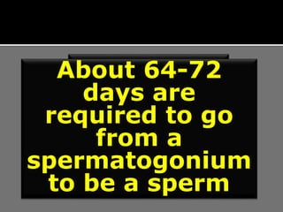 Did
You
know?
About 64-72
days are
required to go
from a
spermatogonium
to be a sperm
 