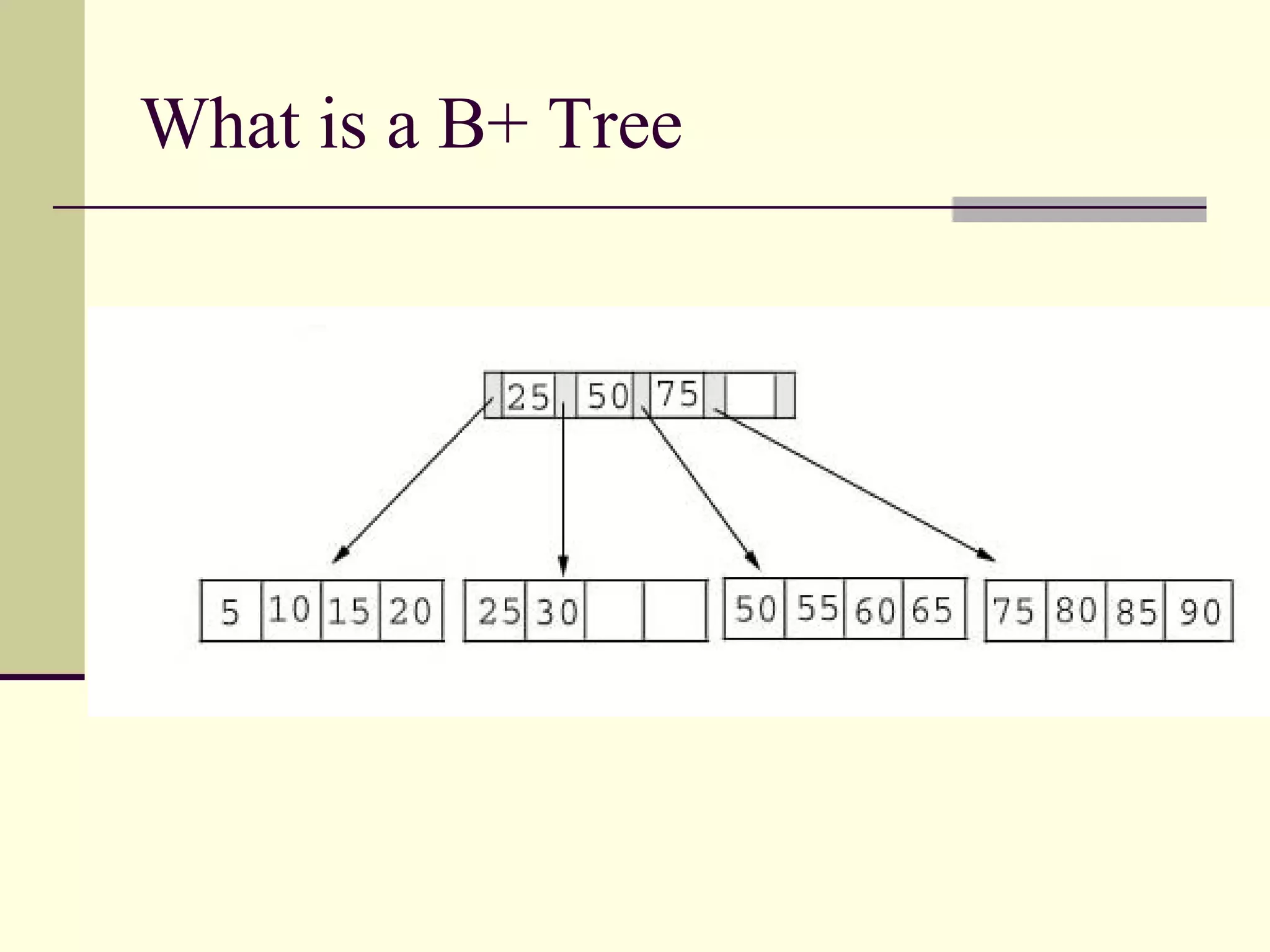 What is a B+ Tree 