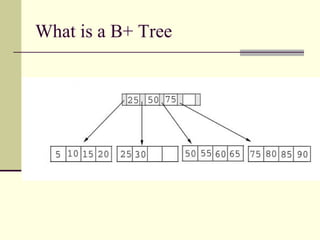 What is a B+ Tree 