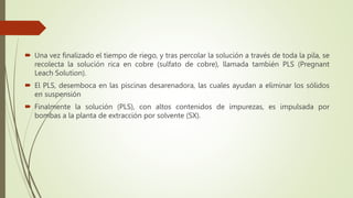  Una vez finalizado el tiempo de riego, y tras percolar la solución a través de toda la pila, se
recolecta la solución rica en cobre (sulfato de cobre), llamada también PLS (Pregnant
Leach Solution).
 El PLS, desemboca en las piscinas desarenadora, las cuales ayudan a eliminar los sólidos
en suspensión
 Finalmente la solución (PLS), con altos contenidos de impurezas, es impulsada por
bombas a la planta de extracción por solvente (SX).
 