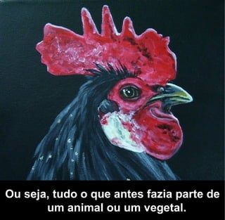 Ou seja, tudo o que antes fazia parte de
       um animal ou um vegetal.
 