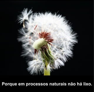 Porque em processos naturais não há lixo.
 