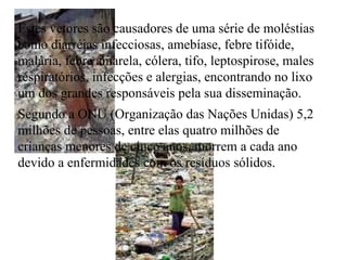 Estes vetores são causadores de uma série de moléstias como diarréias infecciosas, amebíase, febre tifóide, malária, febre amarela, cólera, tifo, leptospirose, males respiratórios, infecções e alergias, encontrando no lixo um dos grandes responsáveis pela sua disseminação. Segundo a ONU (Organização das Nações Unidas) 5,2 milhões de pessoas, entre elas quatro milhões de crianças menores de cinco anos, morrem a cada ano devido a enfermidades com os resíduos sólidos. 
