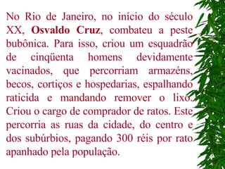 No Rio de Janeiro, no início do século XX,  Osvaldo Cruz , combateu a peste bubônica. Para isso, criou um esquadrão de cinqüenta homens devidamente vacinados, que percorriam armazéns, becos, cortiços e hospedarias, espalhando raticida e mandando remover o lixo. Criou o cargo de comprador de ratos. Este percorria as ruas da cidade, do centro e dos subúrbios, pagando 300 réis por rato apanhado pela população.  