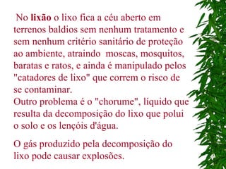   No  lixão  o lixo fica a céu aberto em terrenos baldios sem nenhum tratamento e sem nenhum critério sanitário de proteção ao ambiente, atraindo  moscas, mosquitos, baratas e ratos, e ainda é manipulado pelos "catadores de lixo" que correm o risco de se contaminar. Outro problema é o "chorume", líquido que resulta da decomposição do lixo que polui o solo e os lençóis d'água. O gás produzido pela decomposição do lixo pode causar explosões. 
