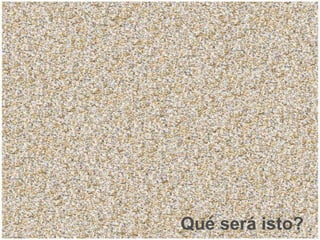 Qué será isto?
 