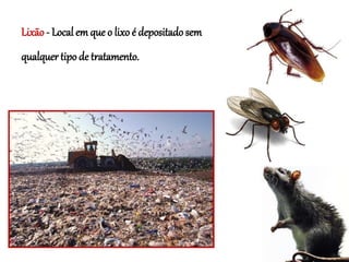 Lixão- Local em que o lixo é depositado sem
qualquer tipo de tratamento.
 
