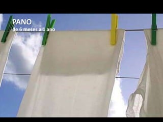 PANO
de 6 meses a 1 ano